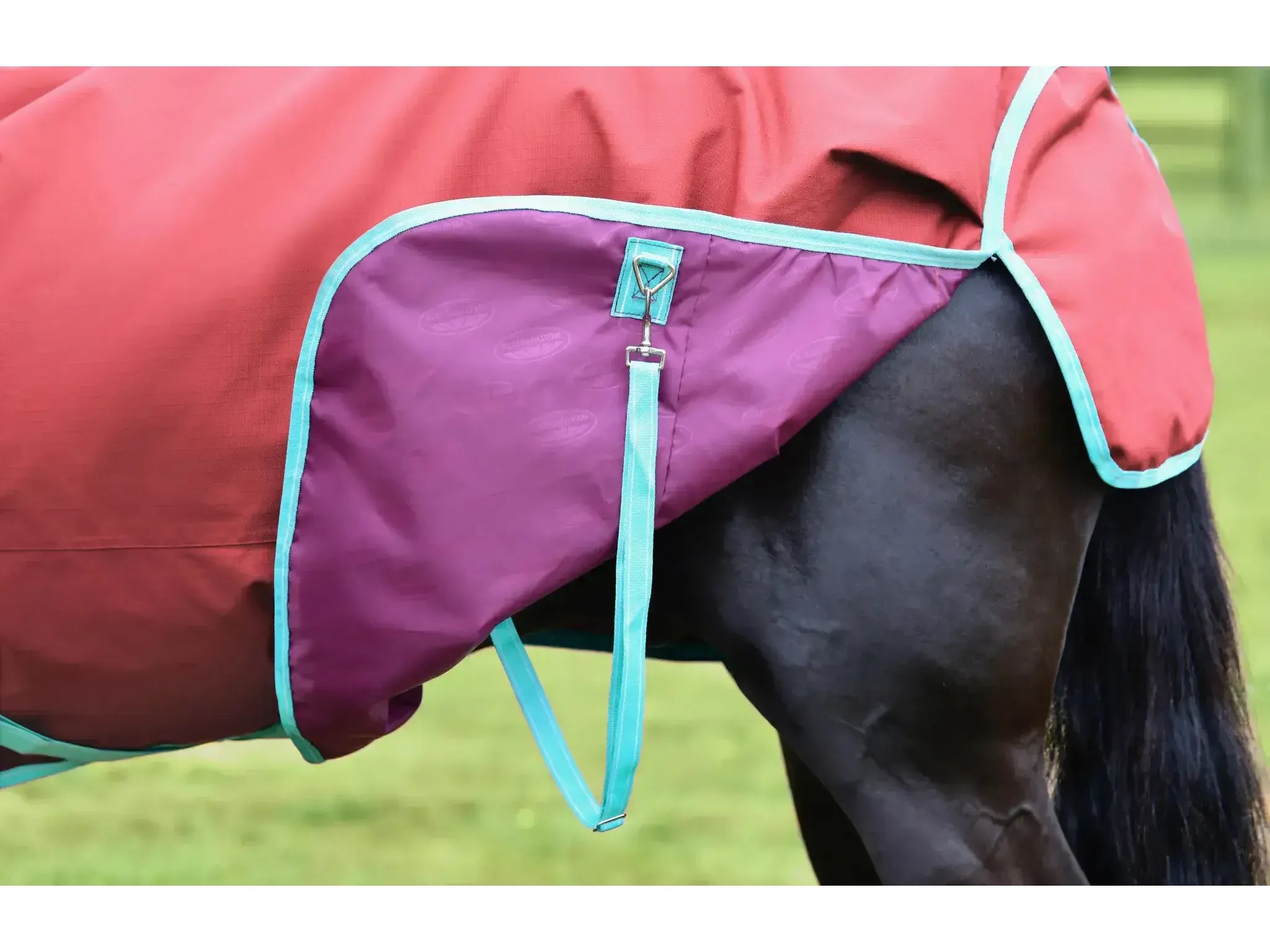 Weatherbeeta Comfitec Essential Standard Neck 50g Lite Plus