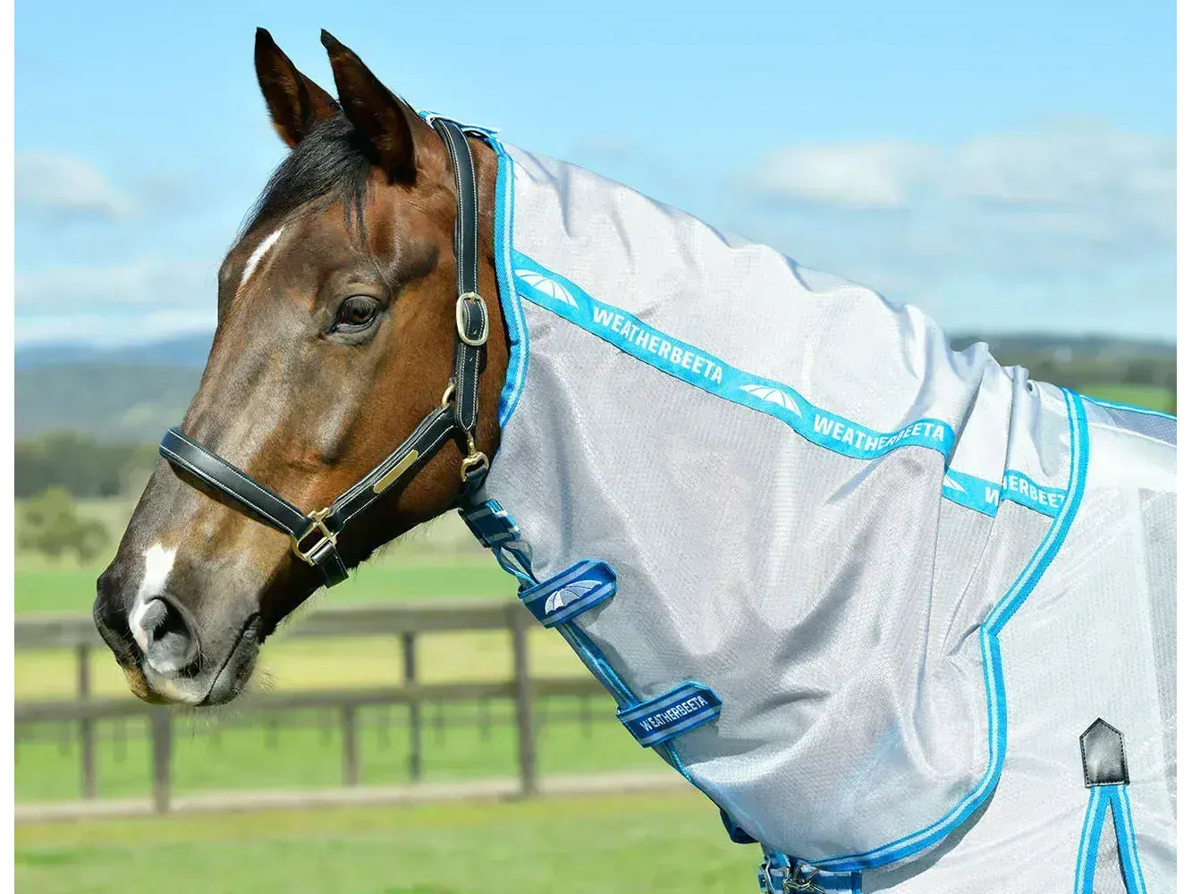 Weatherbeeta Comfitec Hexi Shield Combo Neck