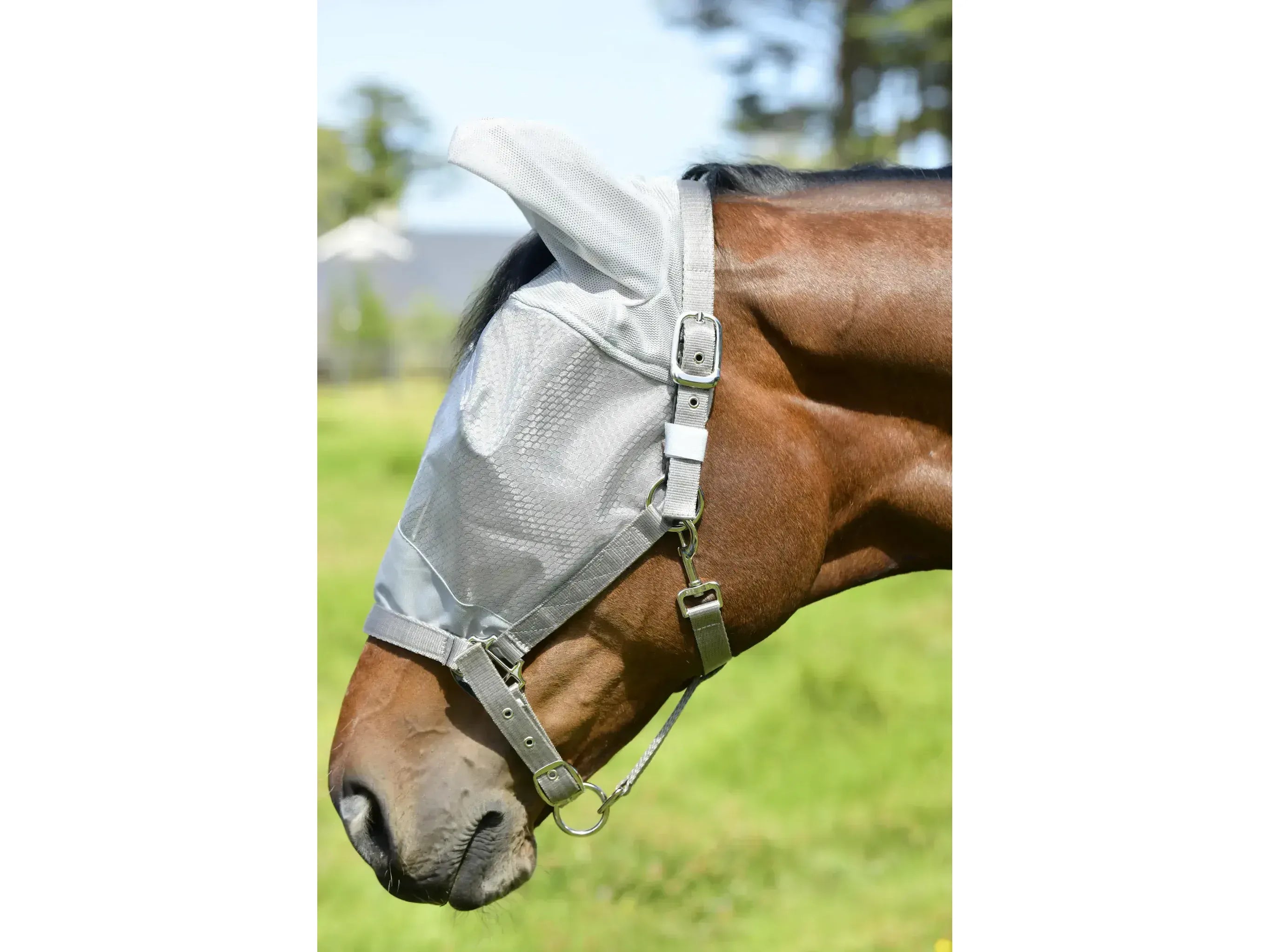 Weatherbeeta Comfitec Hexi Shield Dual Fly Mask