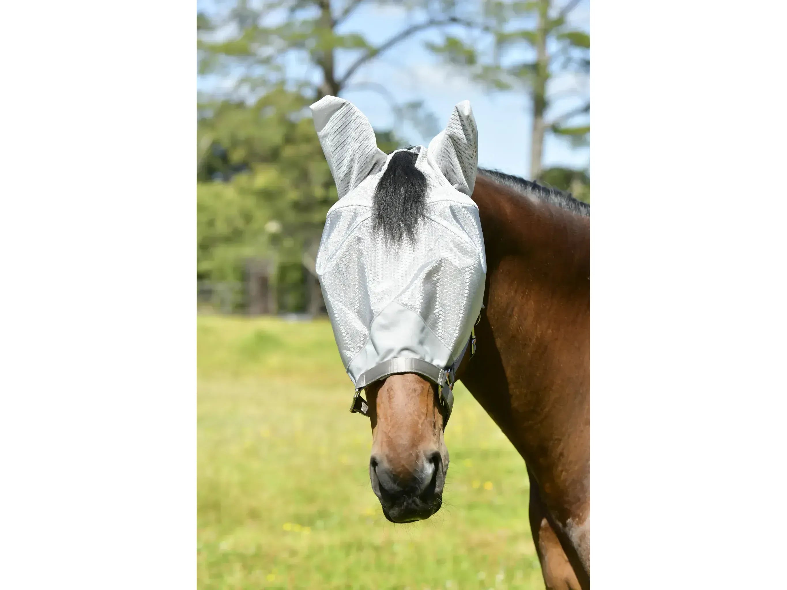 Weatherbeeta Comfitec Hexi Shield Dual Fly Mask