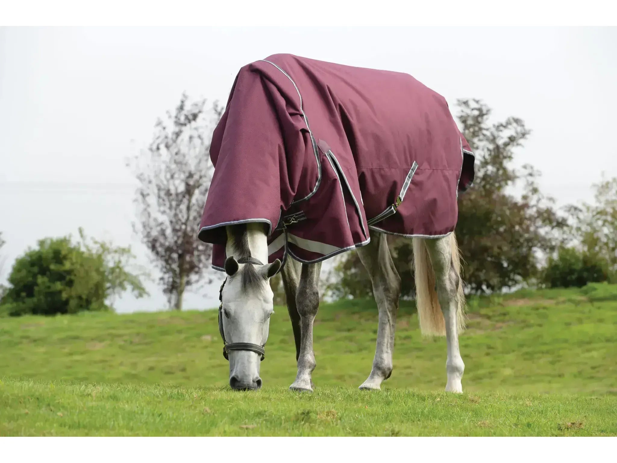 Weatherbeeta Comfitec Plus Dynamic II Detach-A-Neck 100g Medium/Lite