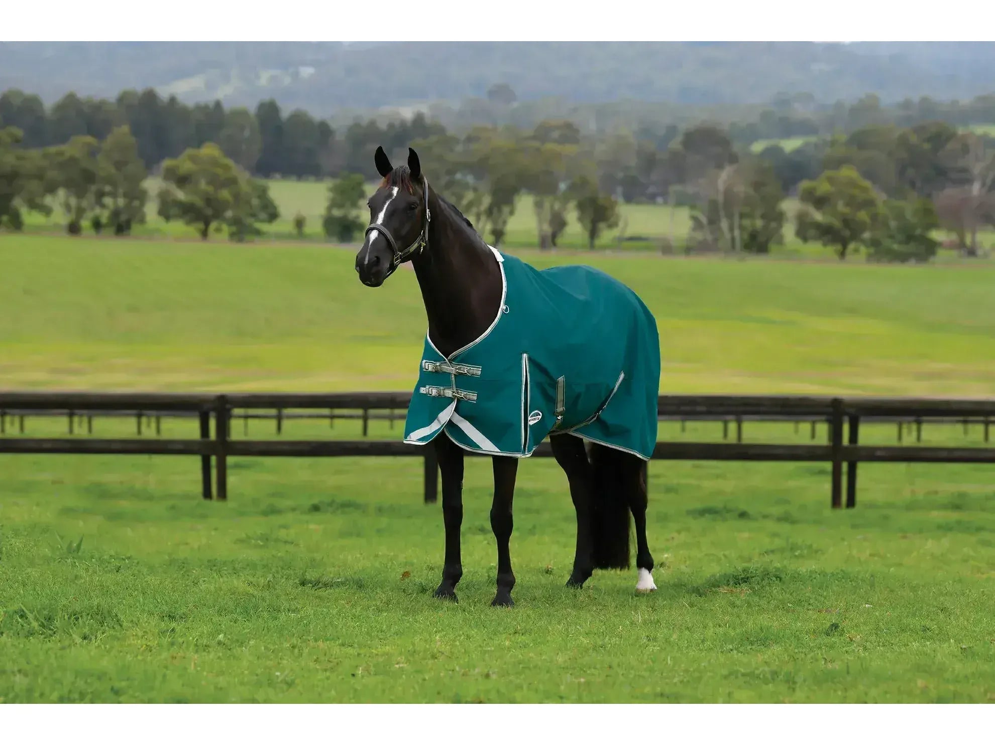 Weatherbeeta Comfitec Plus Dynamic II Detach-A-Neck Lite