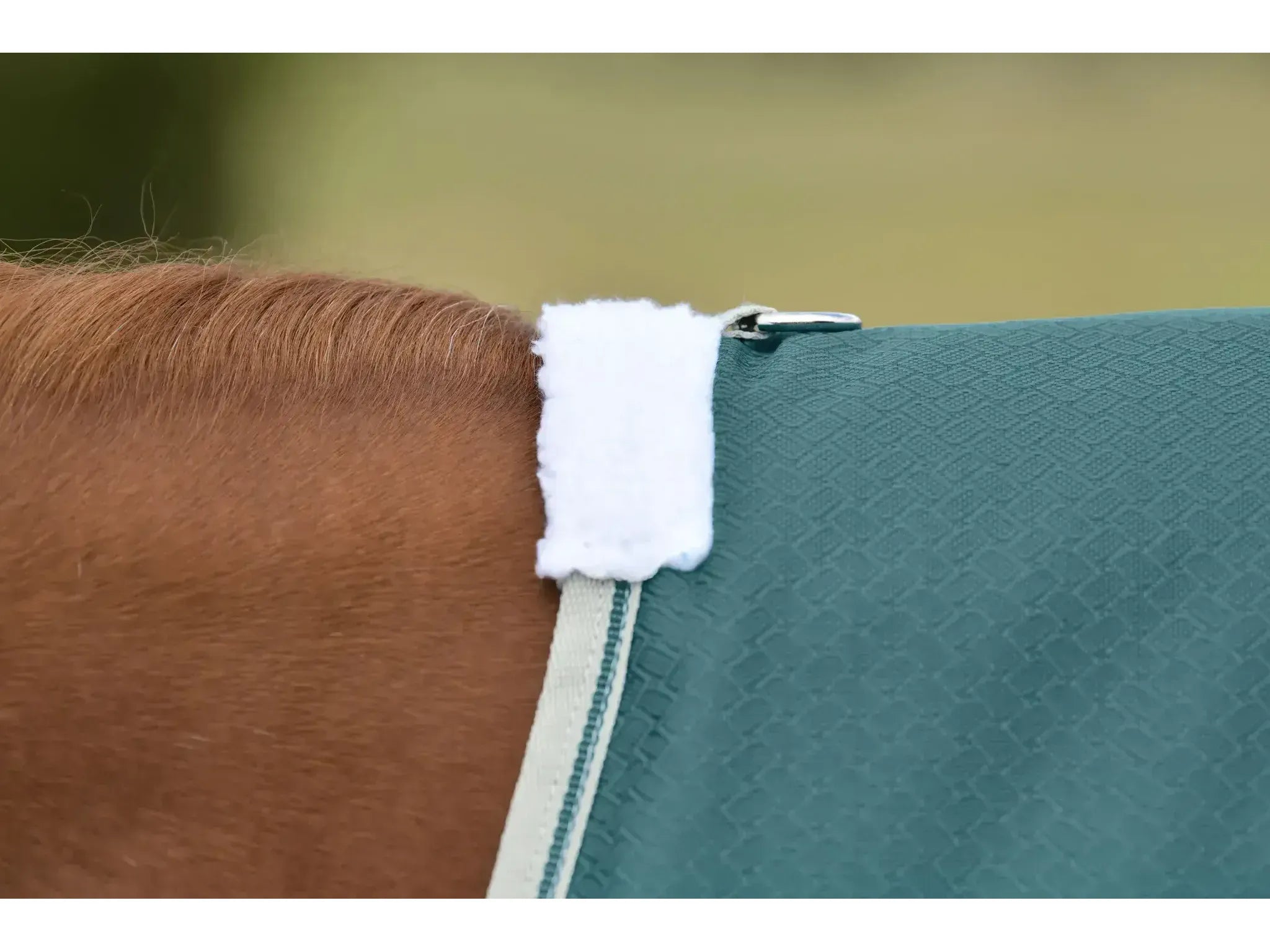 Weatherbeeta Comfitec Plus Dynamic II Detach-A-Neck Lite