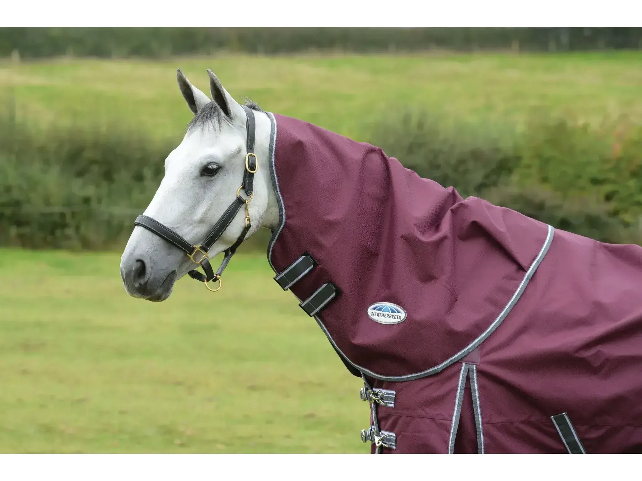 Weatherbeeta Comfitec Plus Dynamic II (Neck Only) Rug Lite