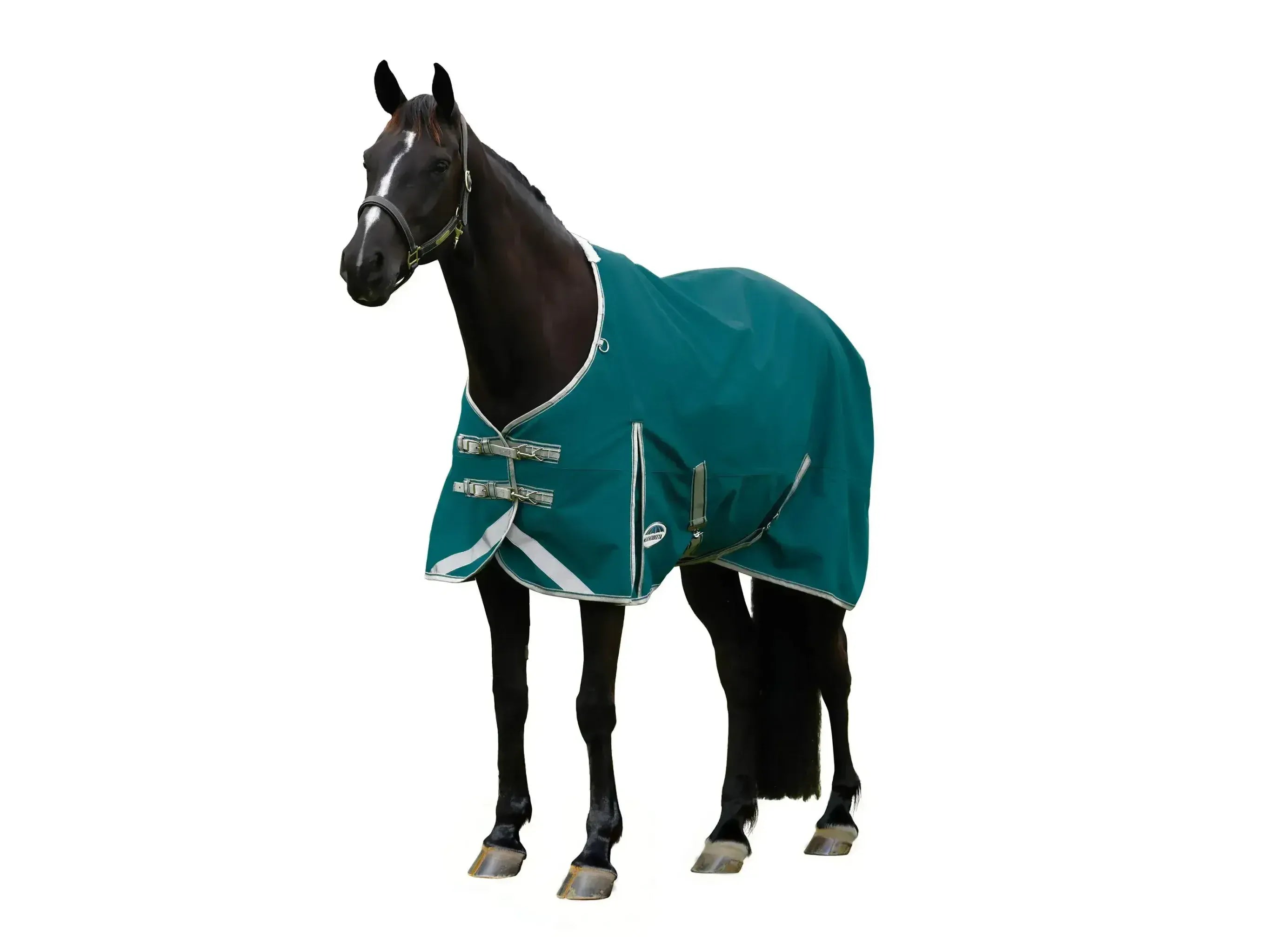 Weatherbeeta Comfitec Plus Dynamic II Standard 0g Neck Lite