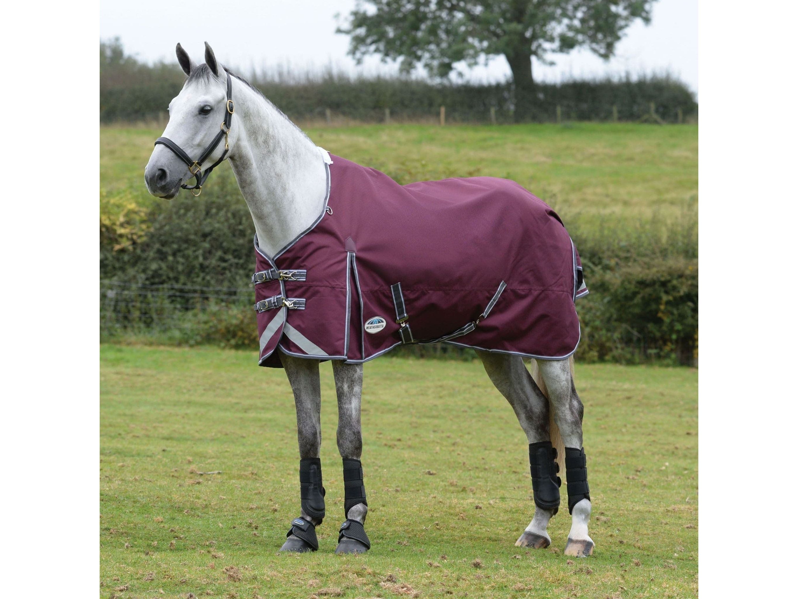 Weatherbeeta Comfitec Plus Dynamic II Standard Neck Medium/Lite Turnout Rug