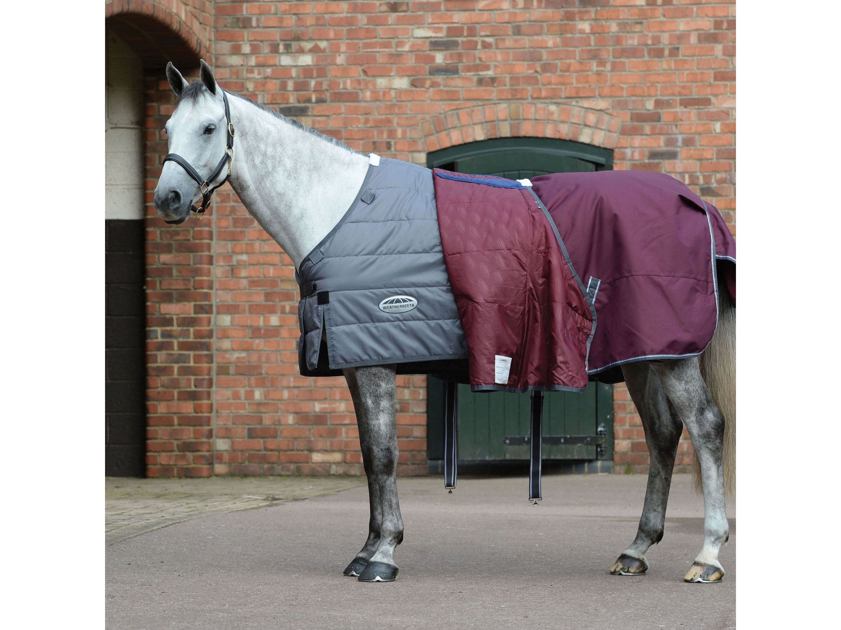 Weatherbeeta Comfitec Plus Dynamic II Standard Neck Medium/Lite Turnout Rug