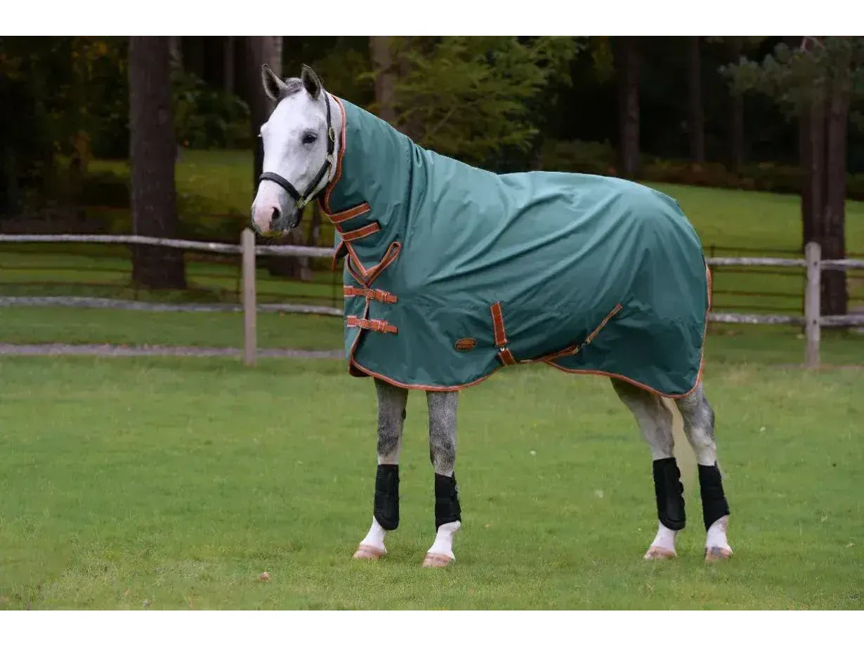 Weatherbeeta Comfitec Tyro Combo Neck Lite Plus