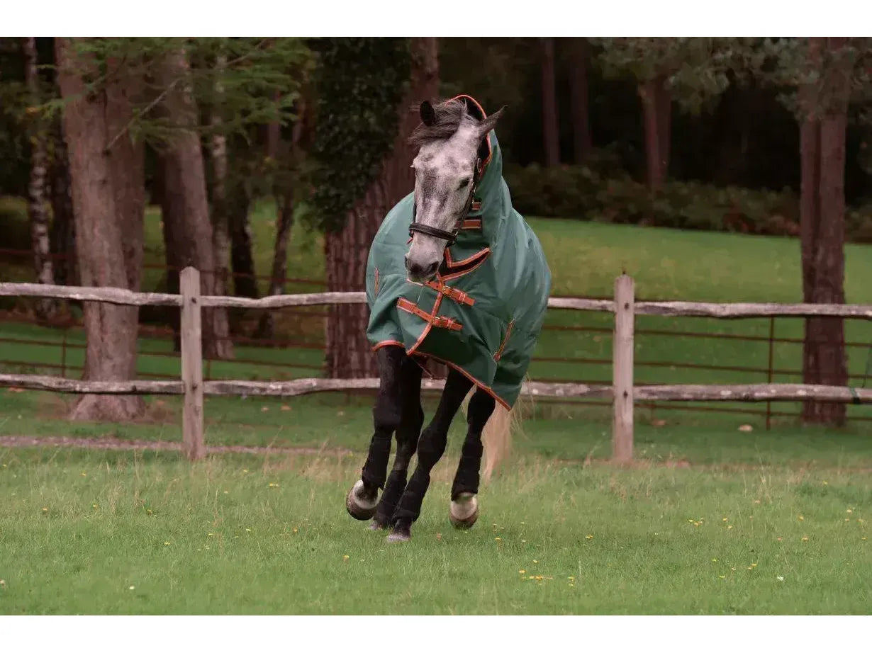 Weatherbeeta Comfitec Tyro Combo Neck Lite Plus