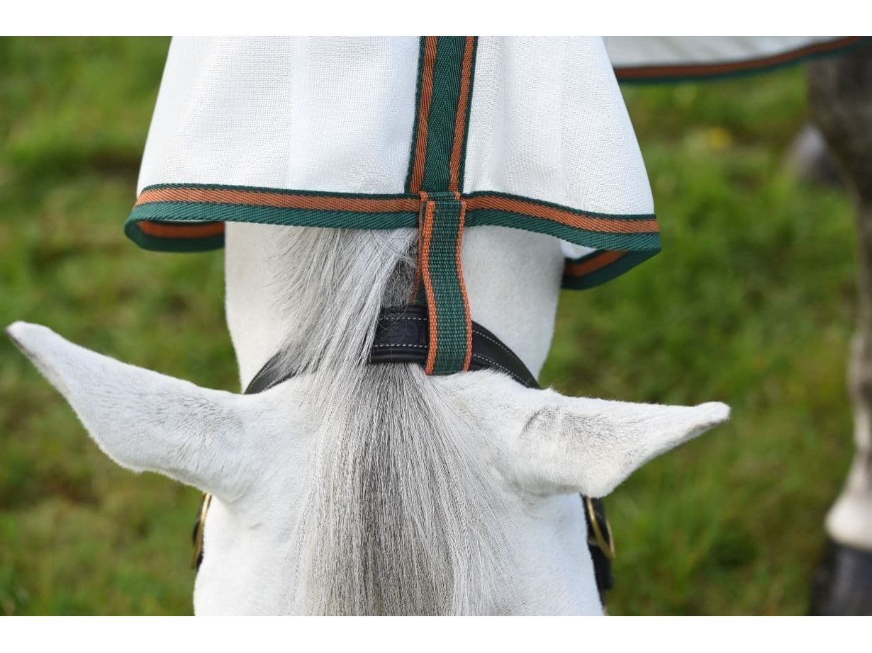 Weatherbeeta Comfitec Tyro Mesh Combo Neck