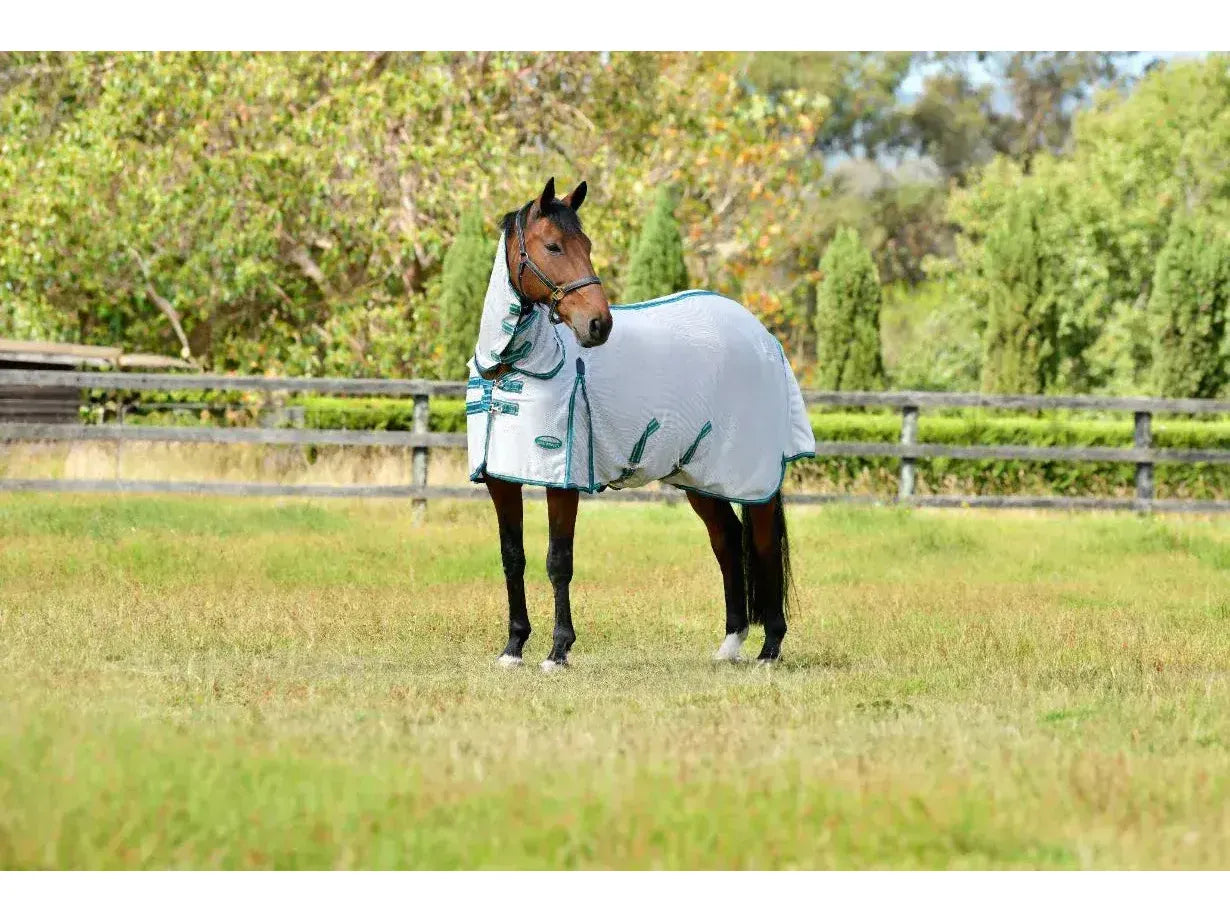 Weatherbeeta Comfitec Zephyr Plus Mesh Combo Neck