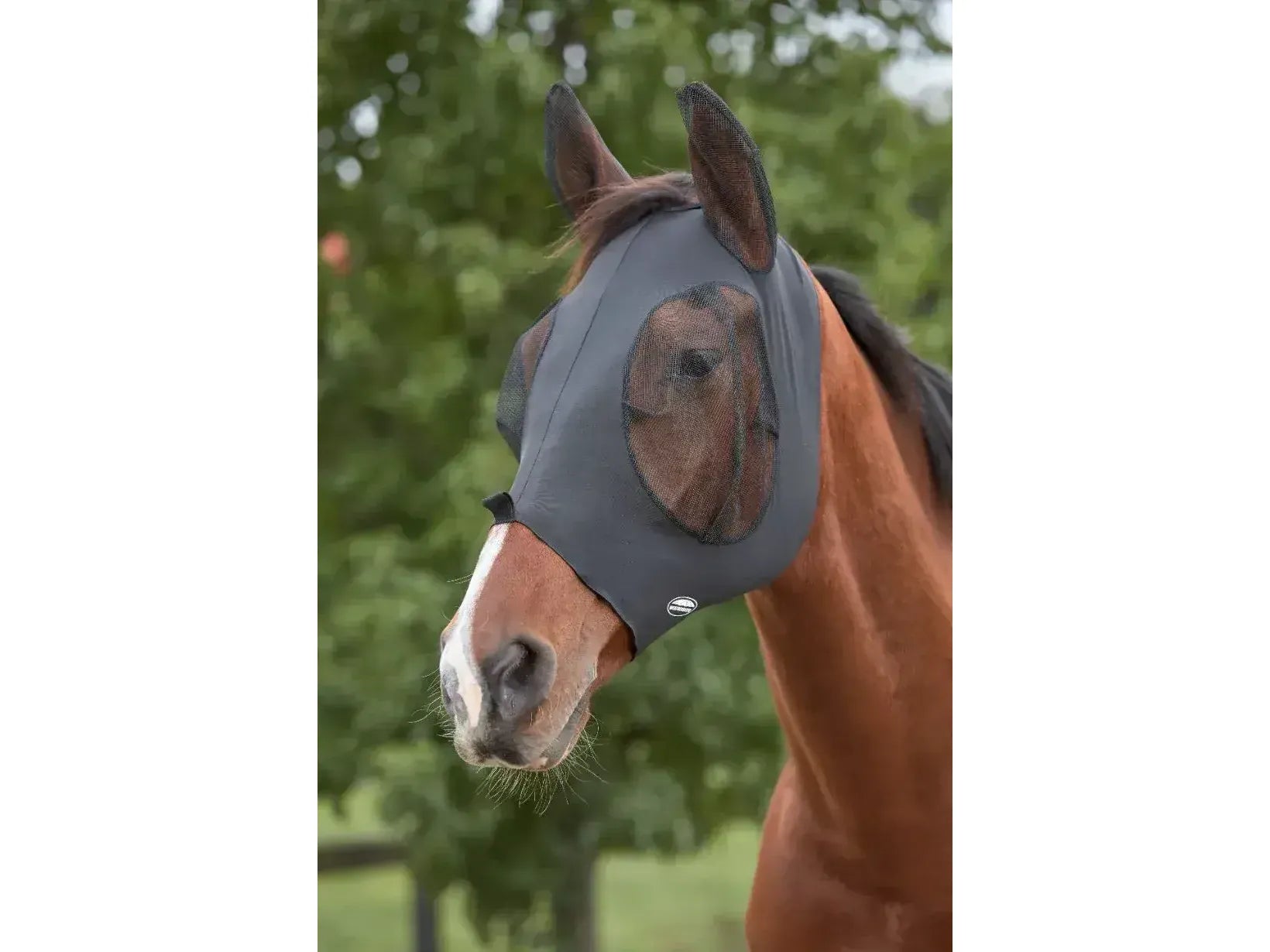 Weatherbeeta Deluxe Stretch Bug Eye Saver With Ears