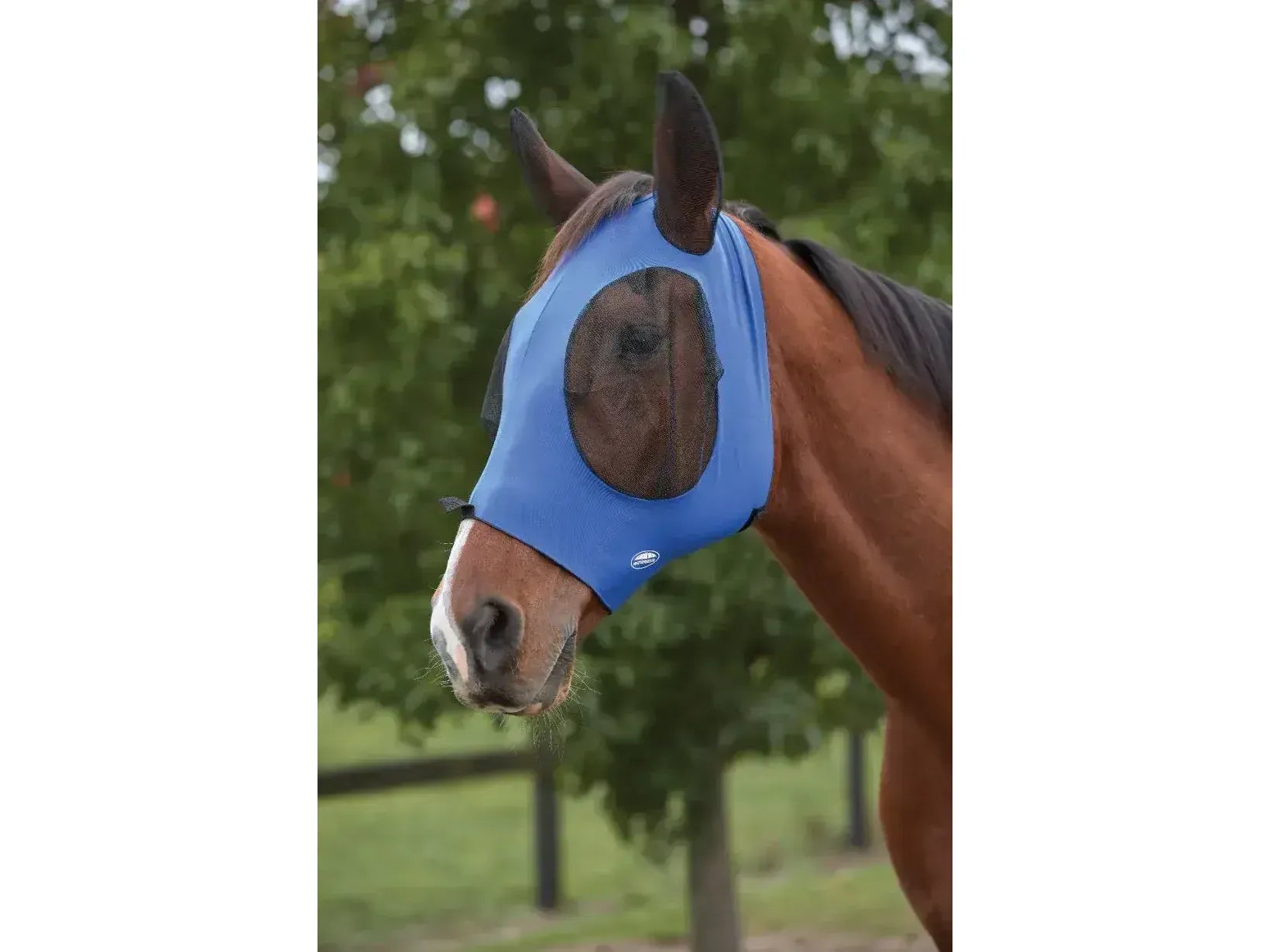 Weatherbeeta Deluxe Stretch Bug Eye Saver With Ears