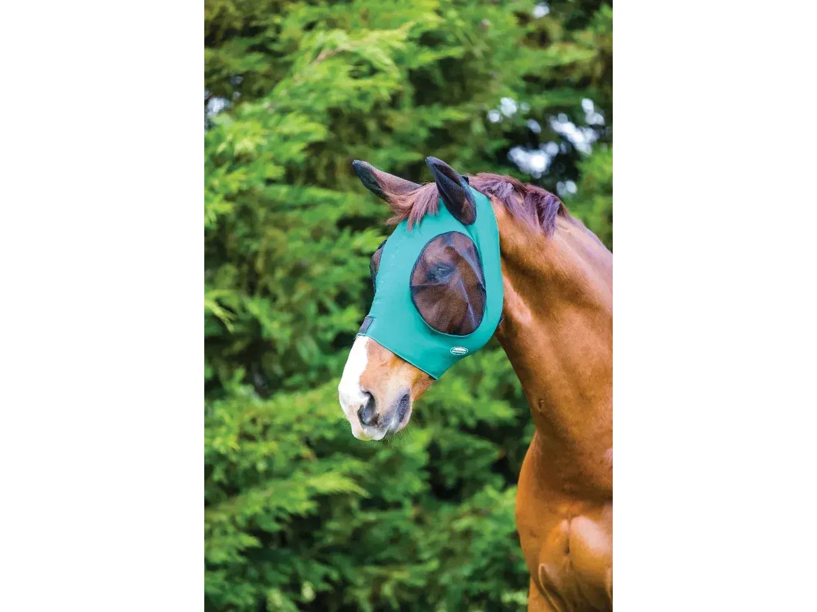 Weatherbeeta Deluxe Stretch Bug Eye Saver With Ears