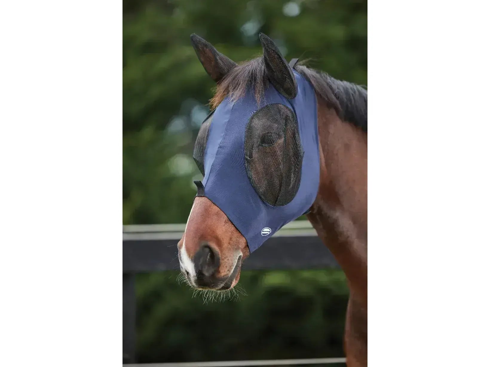 Weatherbeeta Deluxe Stretch Bug Eye Saver With Ears