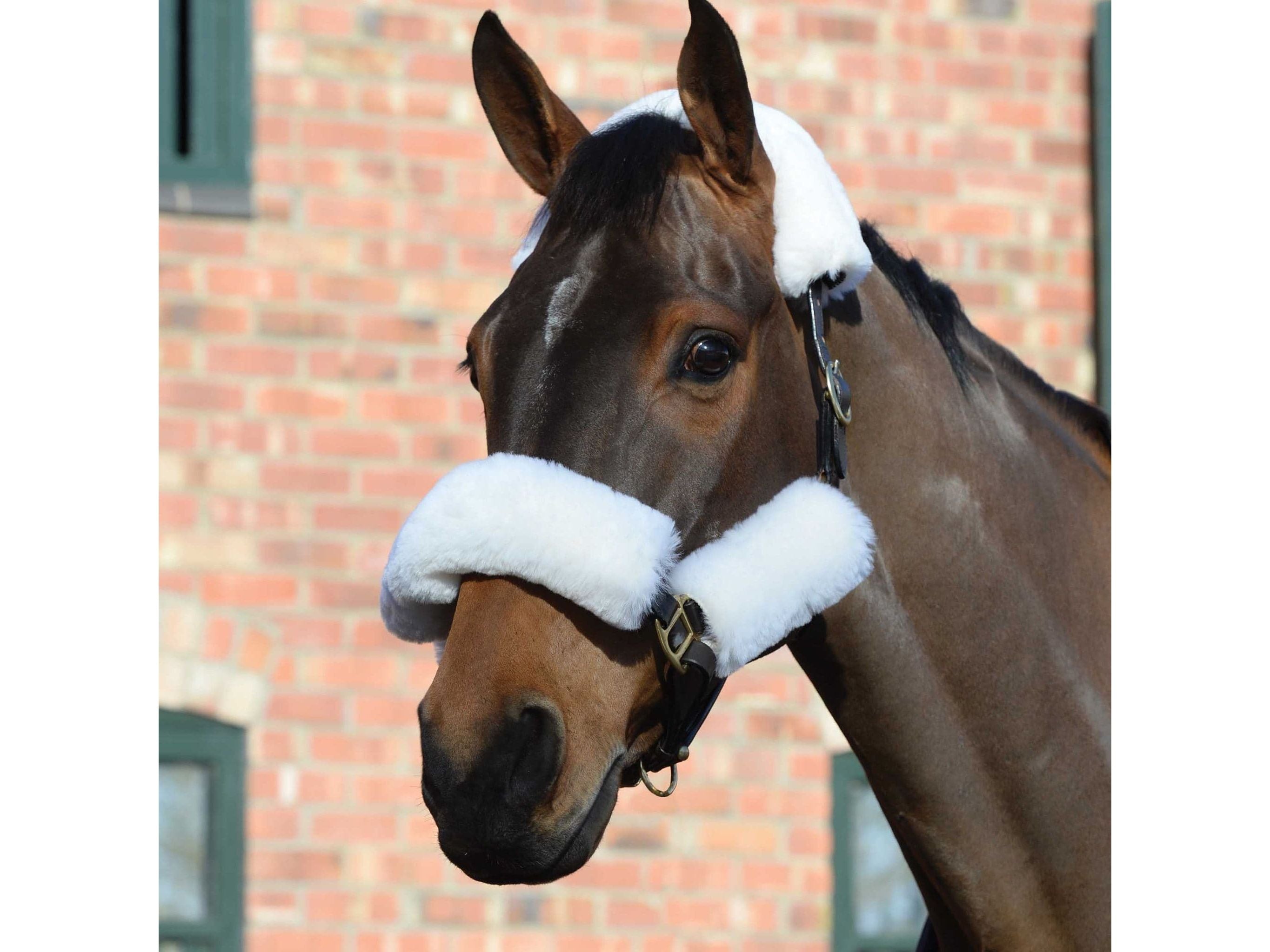 Weatherbeeta Merino Sheepskin Headcollar Set 4 Piece