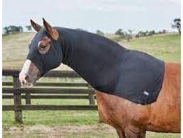 WeatherBeeta Stretch Hood in Black