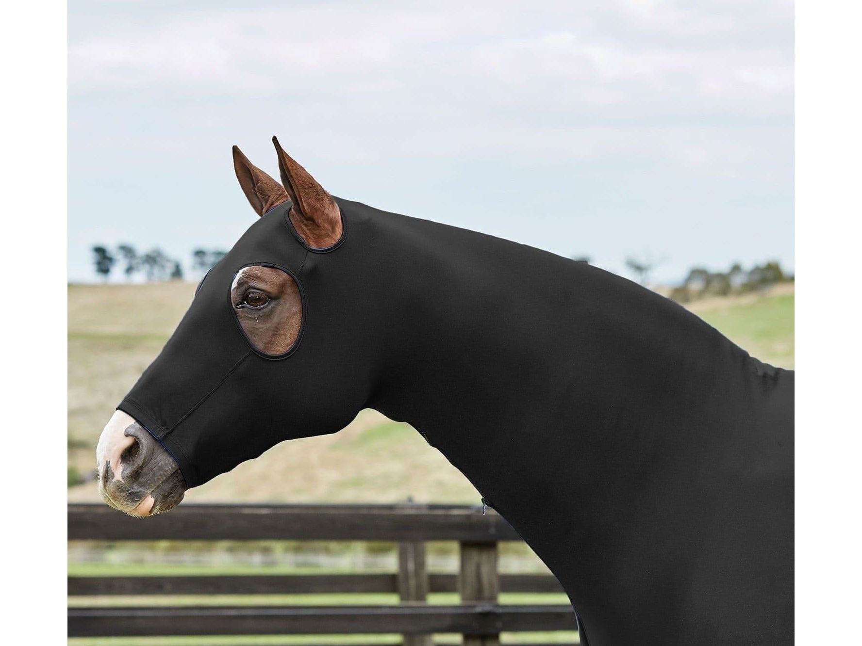 Weatherbeeta Stretch Hood with Zip