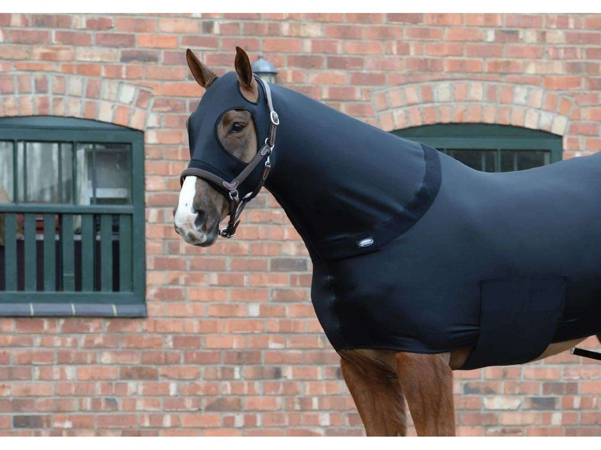 WeatherBeeta Stretch Rug in Black