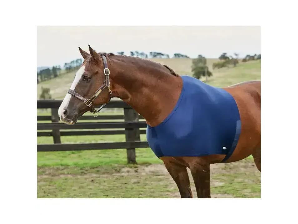WeatherBeeta Stretch Shoulder Guard in Black