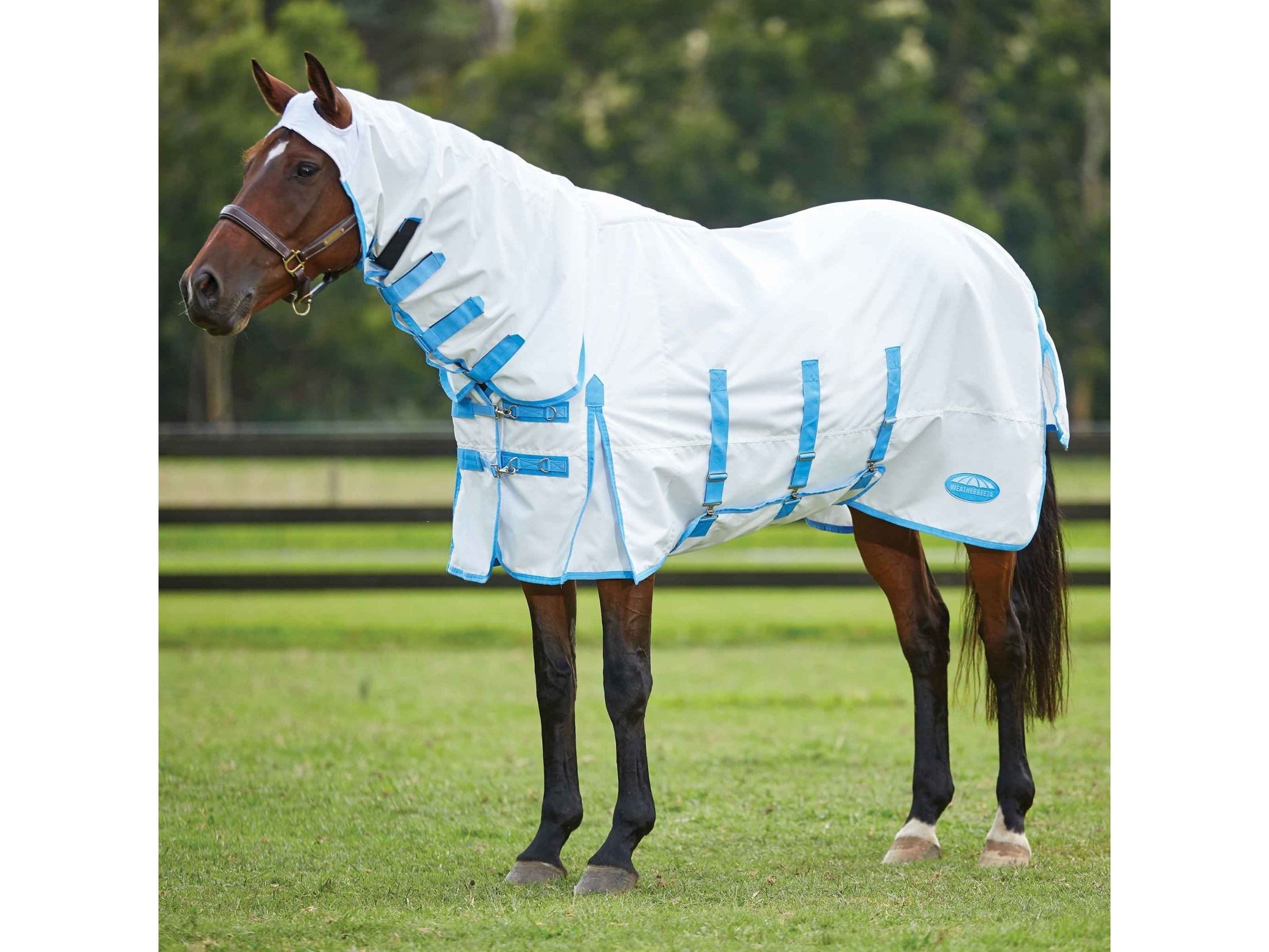 Weatherbeeta Sweet Itch Shield Combo Neck Rug