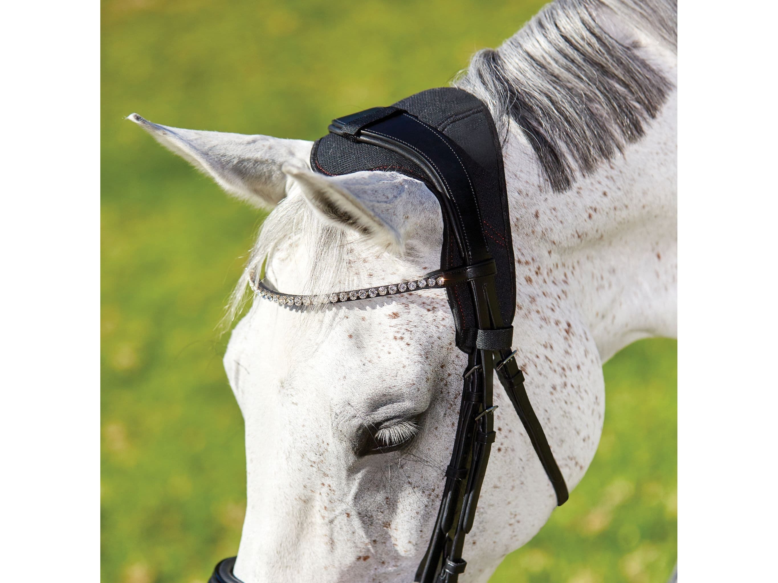 Weatherbeeta Therapy-Tec Anatomical Poll Pad Black/Red