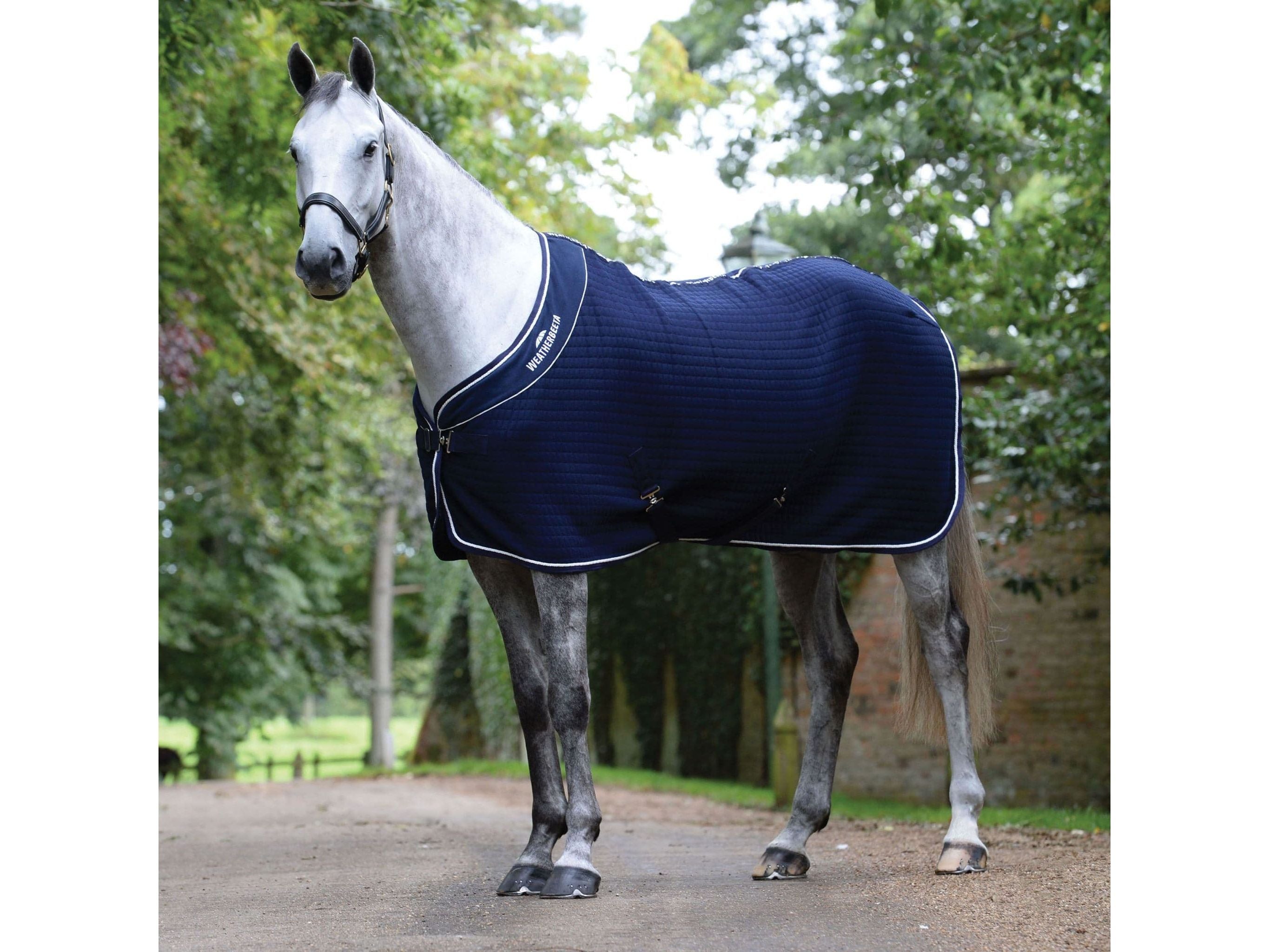 Weatherbeeta Thermocell Cooler Standard Neck