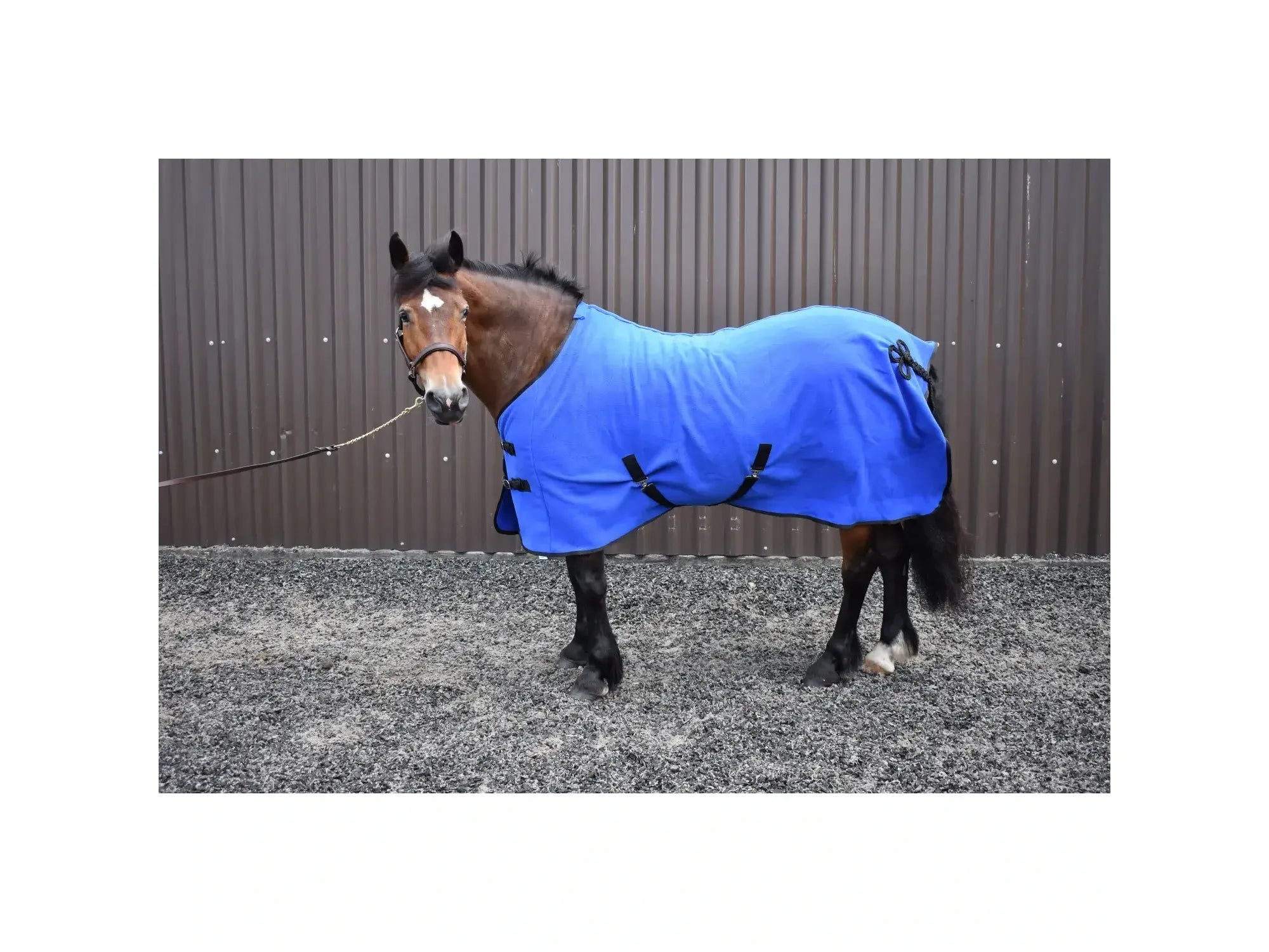 Whitaker Bilbao Bonded Fleece Rug in Burgundy