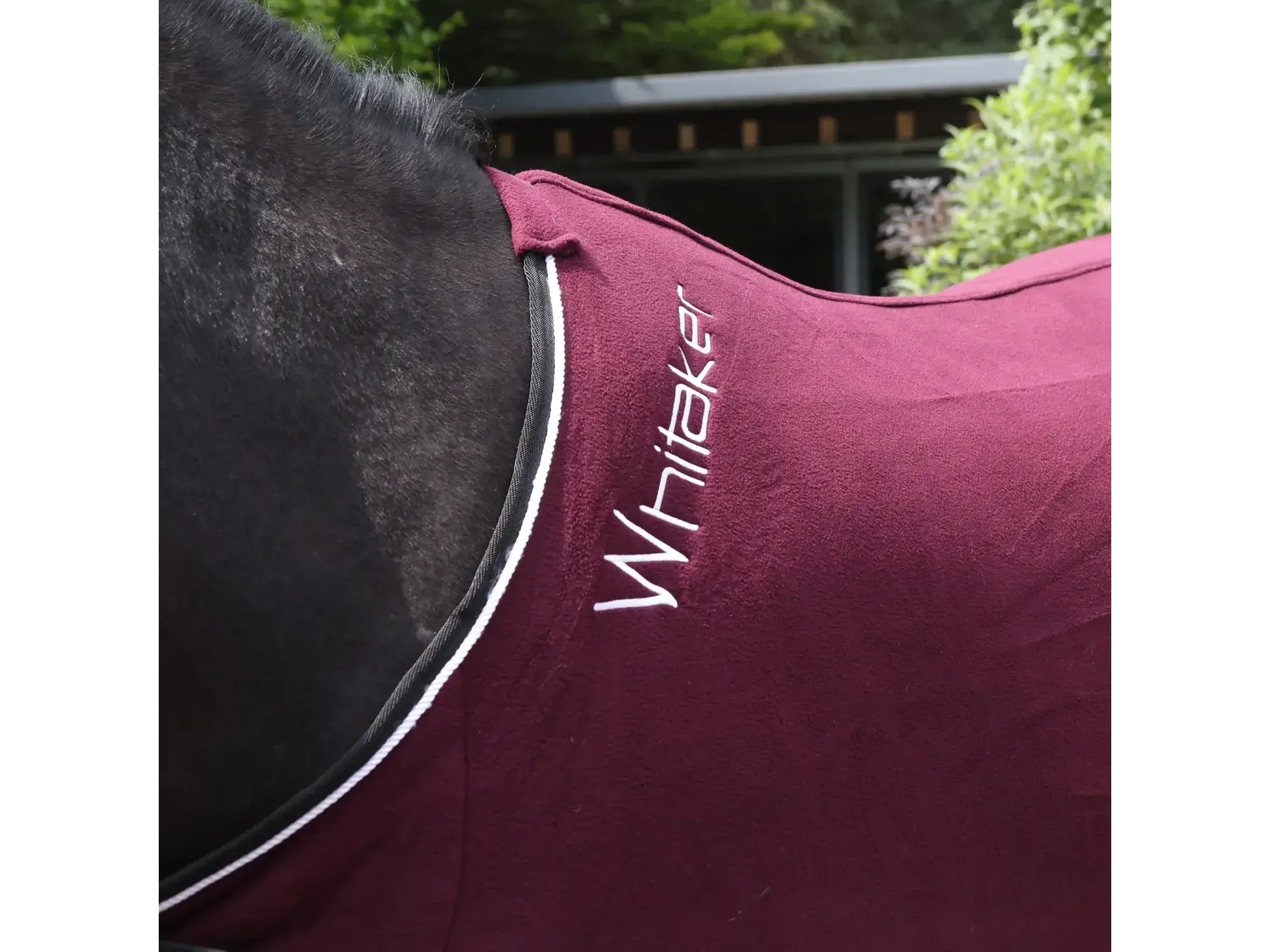 Whitaker Club Show Rug in Burgundy