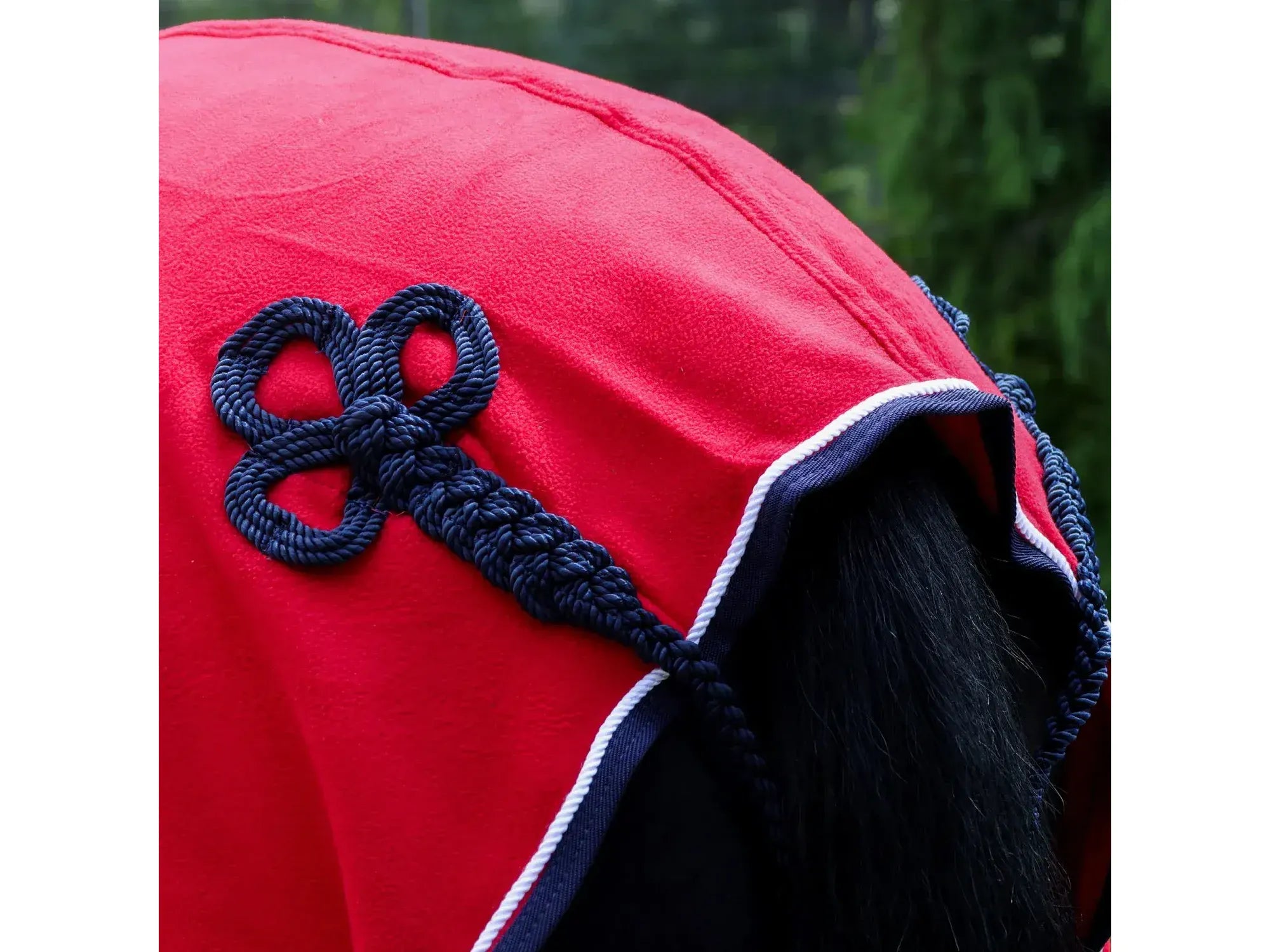 Whitaker Club Show Rug in Red