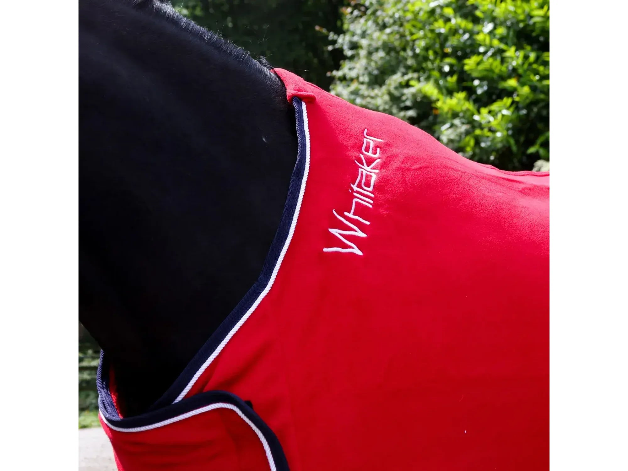 Whitaker Club Show Rug in Red