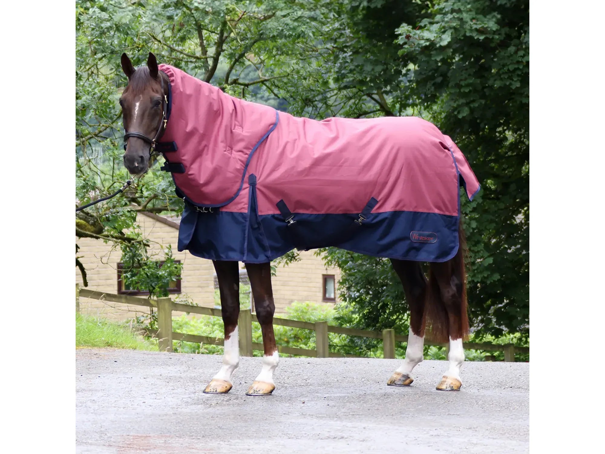 Whitaker Larkspur 300g Combo Turnout Rug - Limited Sizes Available