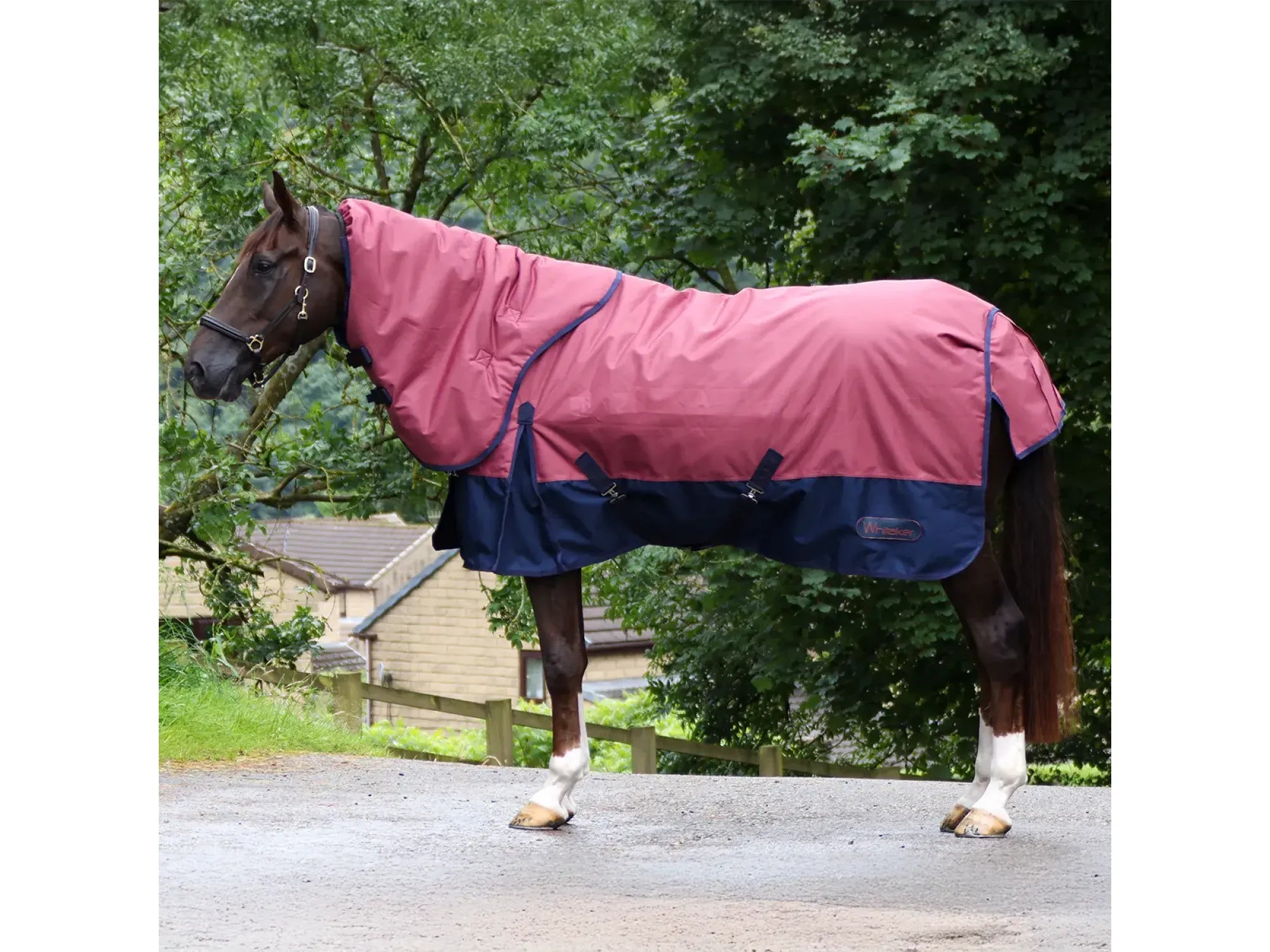Whitaker Larkspur 300g Combo Turnout Rug - Limited Sizes Available