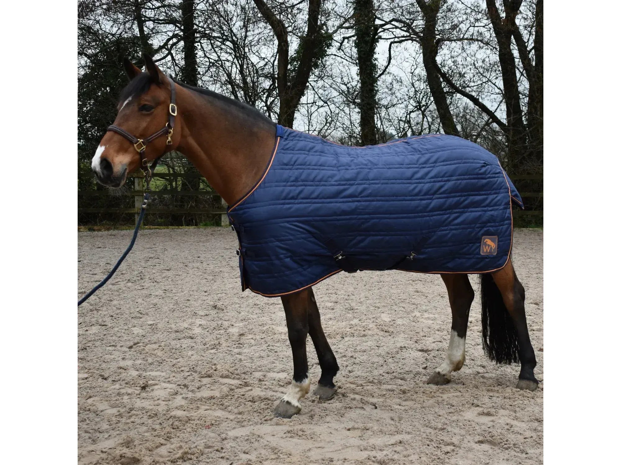 Whitaker Pippa 100g Stable Rug with Tail Cover