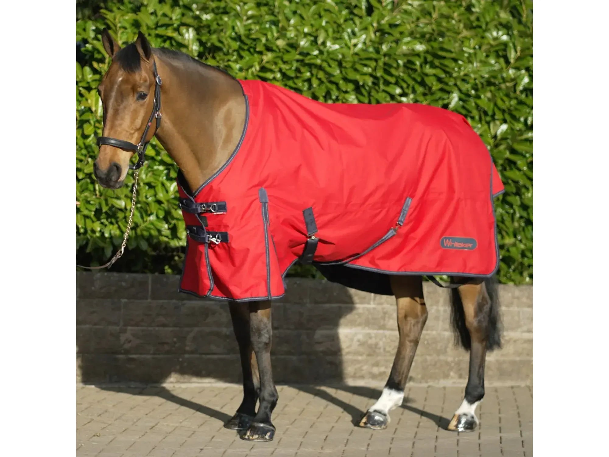 Whitaker Rastrick 100g Lightweight Turnout Rug