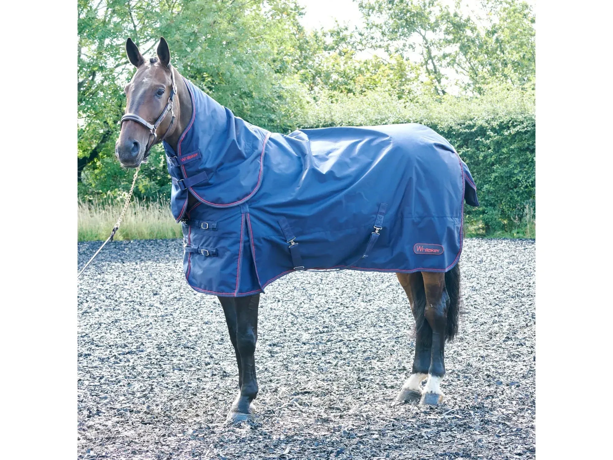 Whitaker Rastrick 250g Combo Turnout Rug