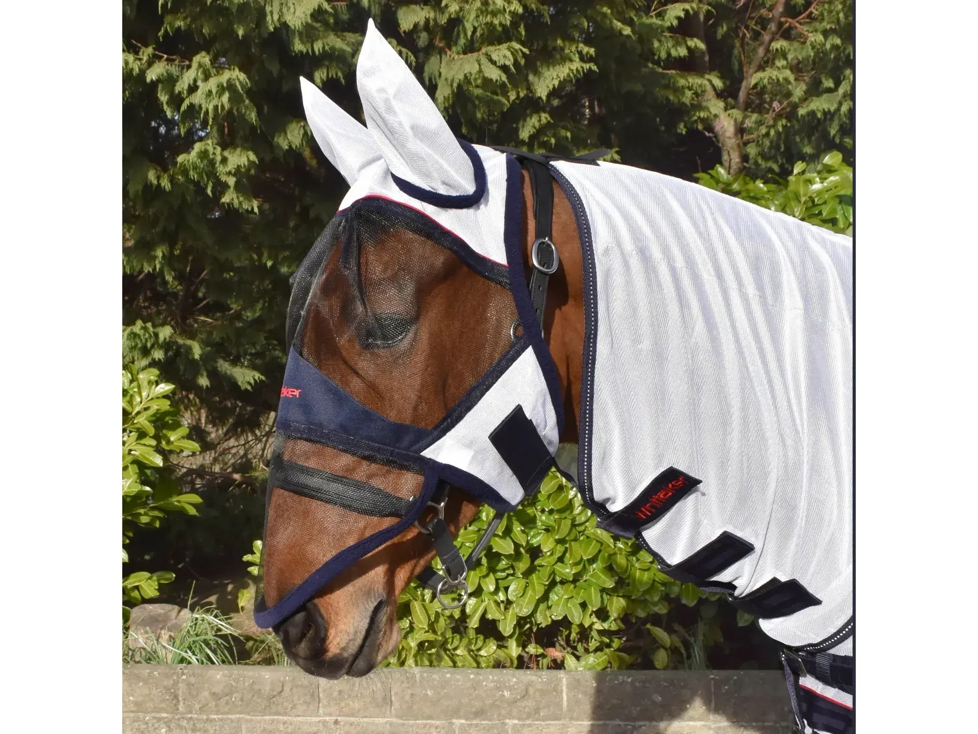 Whitaker Rastrick Fly Face Shield