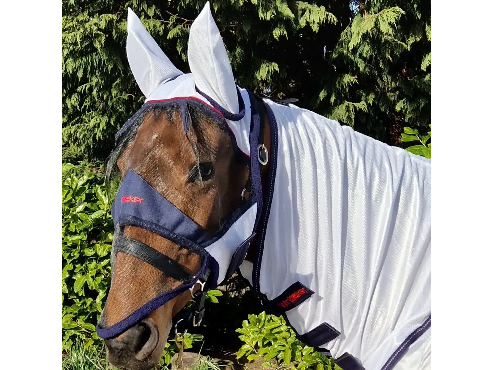 Whitaker Rastrick Fly Face Shield