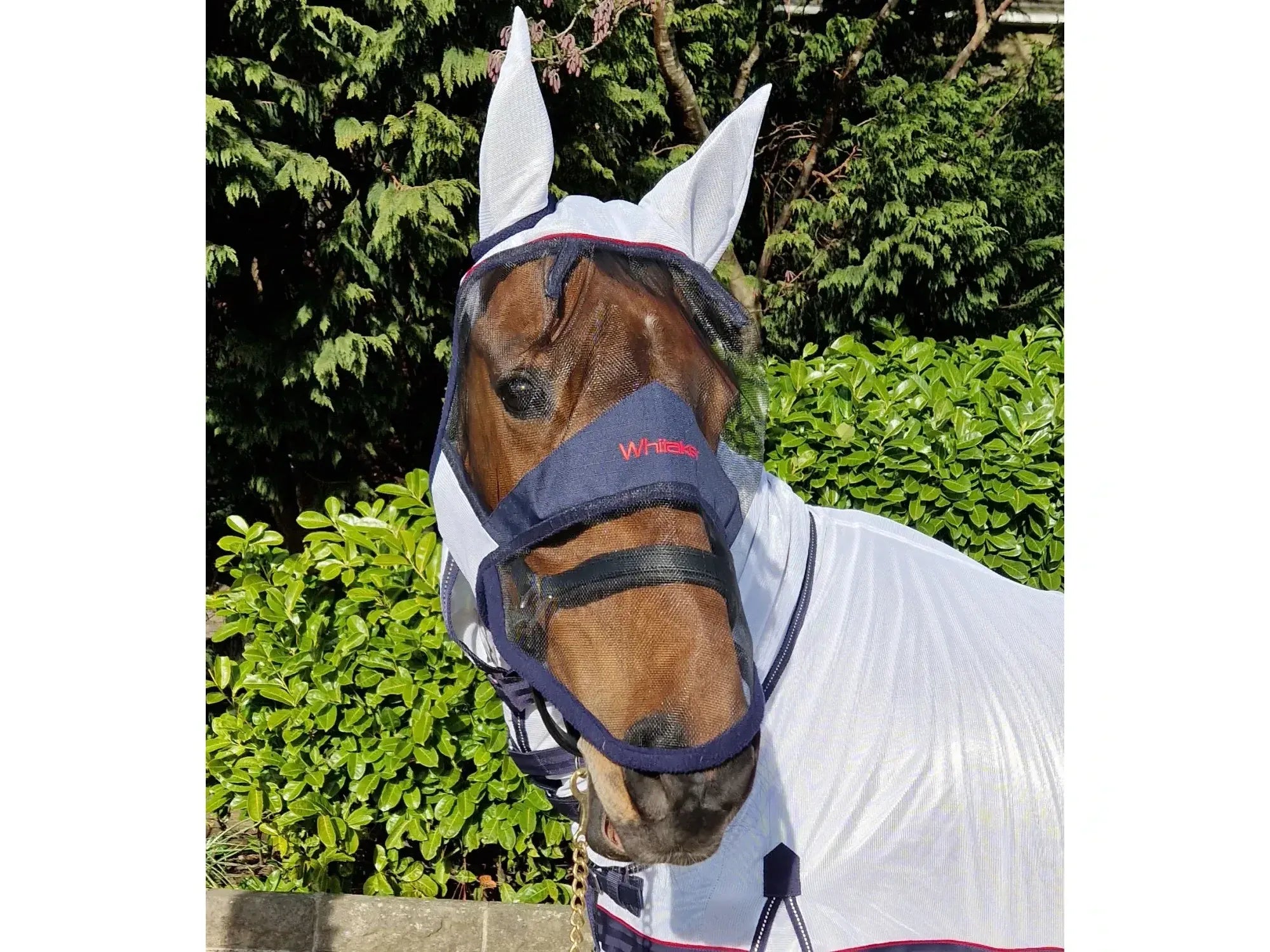 Whitaker Rastrick Fly Face Shield