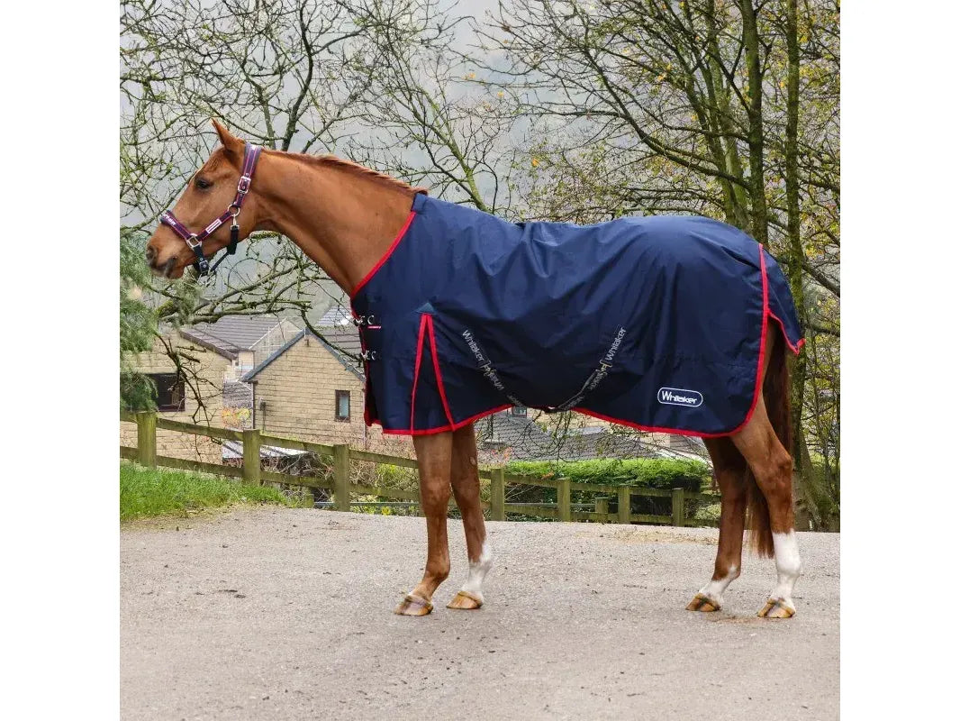 Whitaker Rastrick V2 0g Turnout