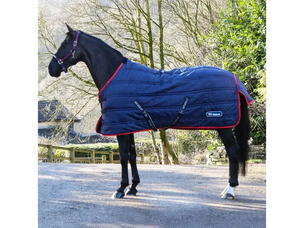 Whitaker Rastrick V2 100g Standard Stable Rug