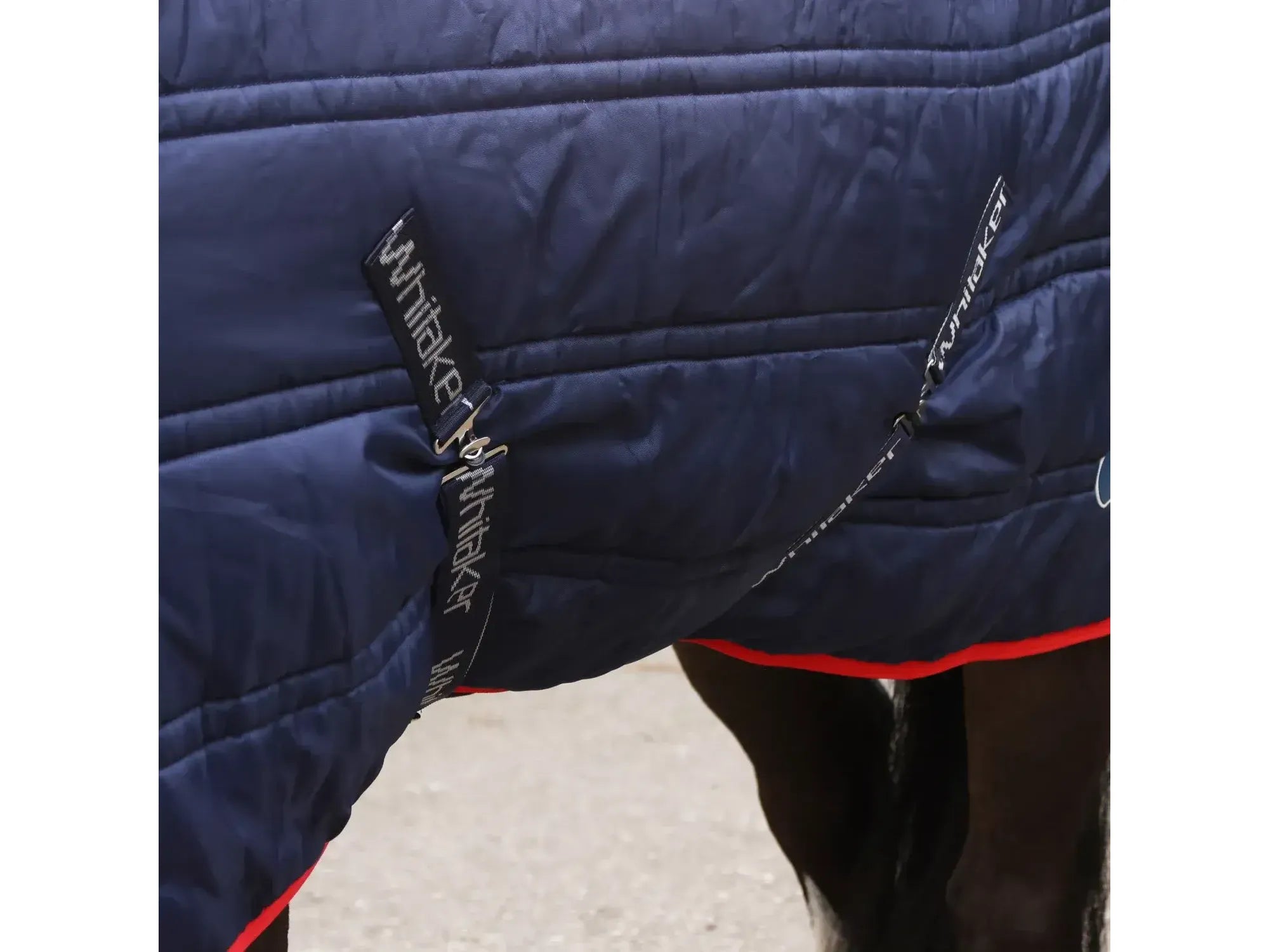 Whitaker Rastrick V2 250g Combo Stable Rug