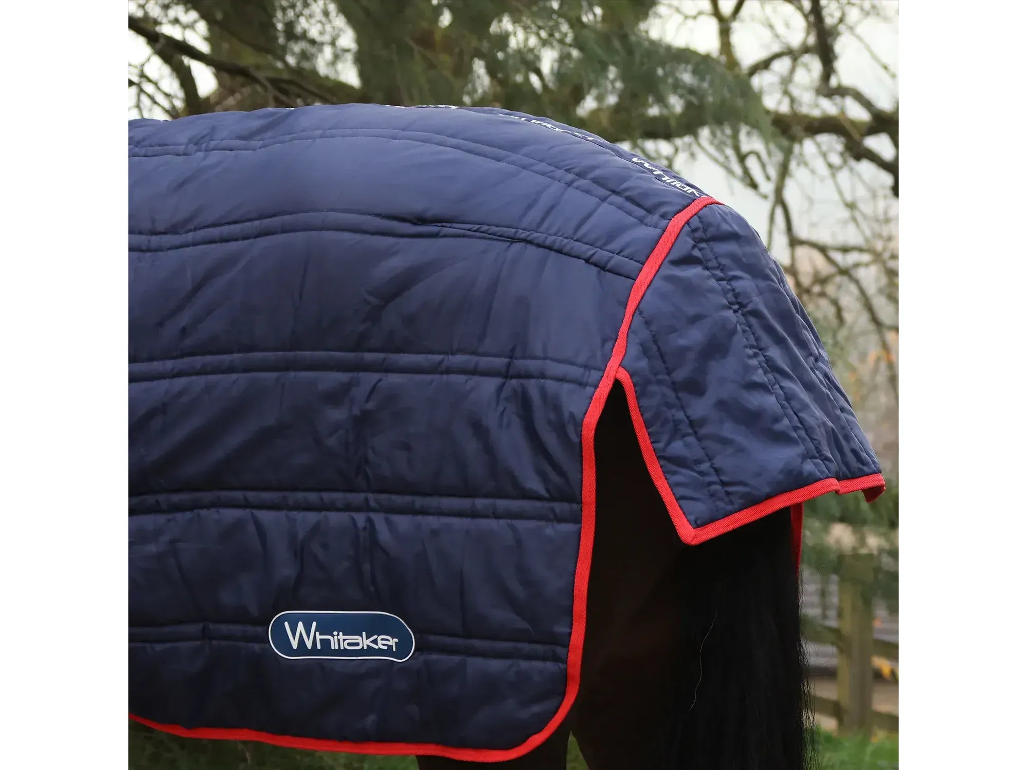 Whitaker Rastrick V2 250g Combo Stable Rug