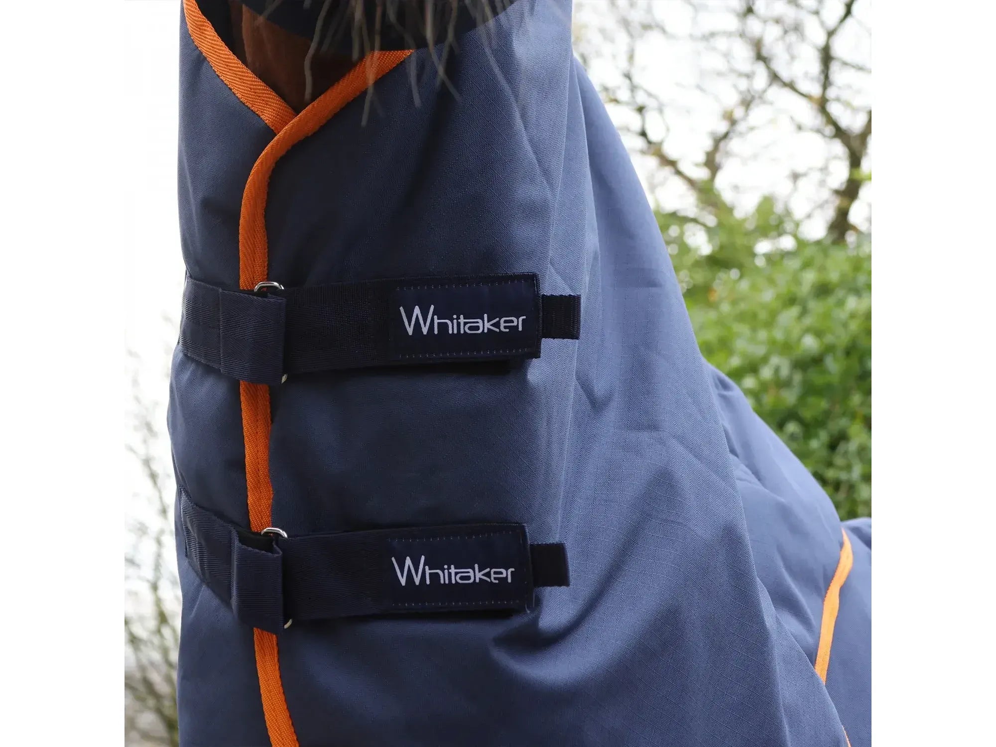 Whitaker Rastrick V2 250g Combo Turnout Rug - Limited Edition