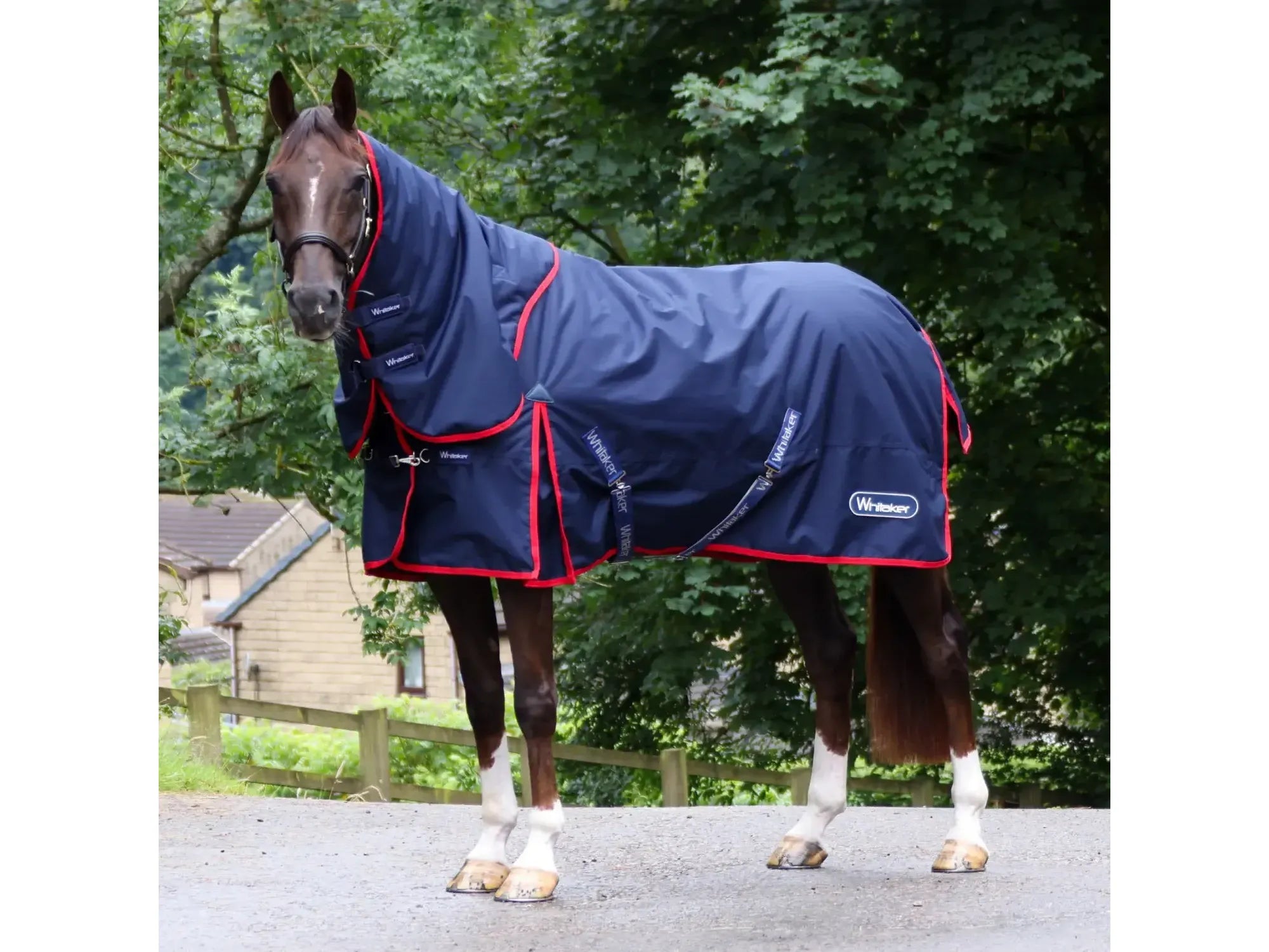 Whitaker Rastrick V2 250g Combo Turnout Rug