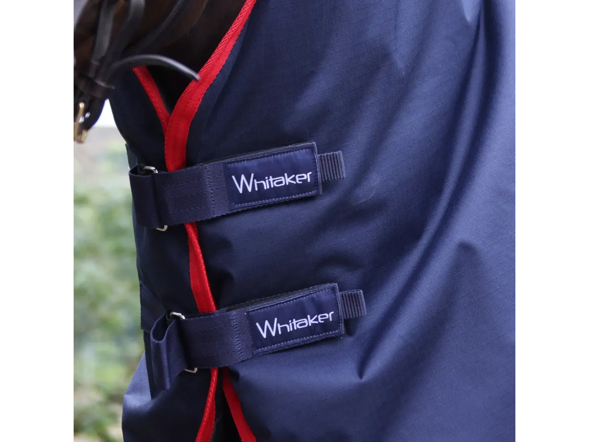 Whitaker Rastrick V2 250g Combo Turnout Rug
