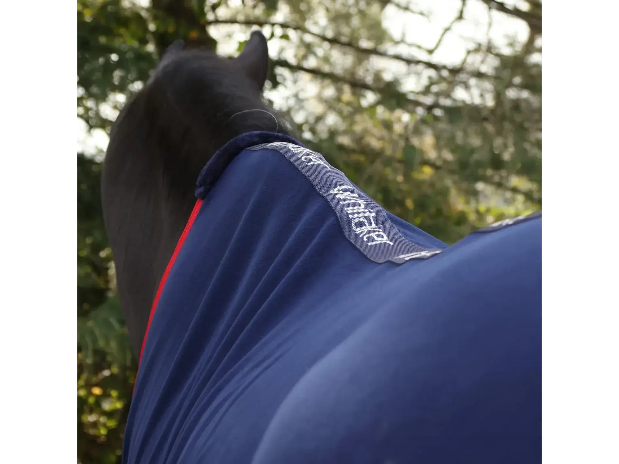 Whitaker Rastrick V2 Fleece Rug