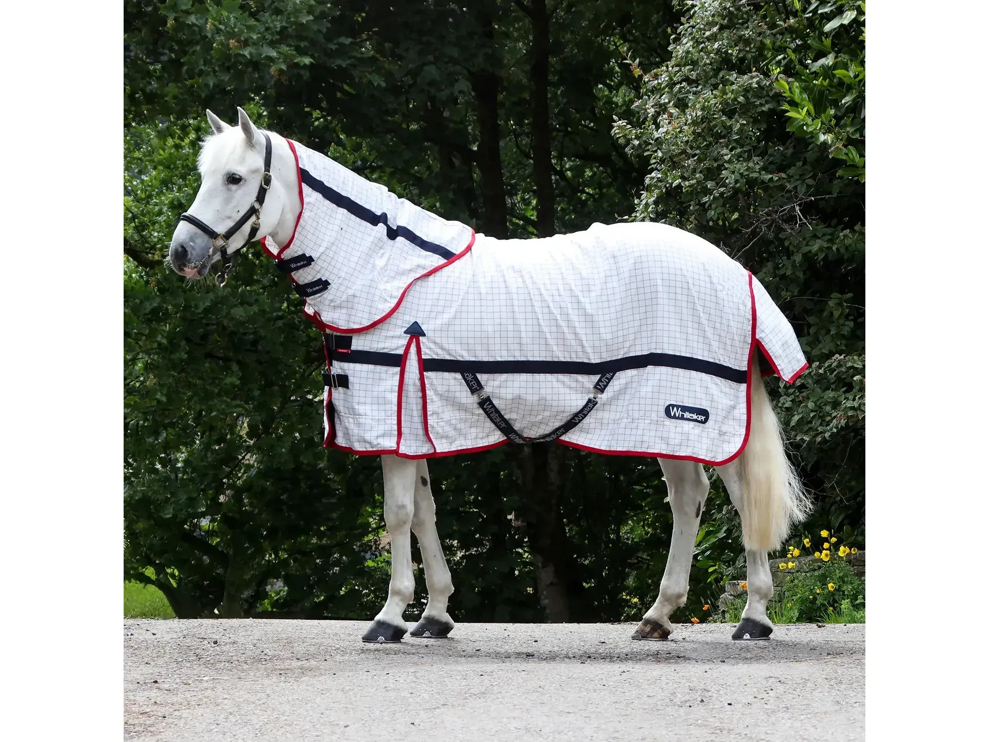 Whitaker Rastrick V2 UV Cool Rug