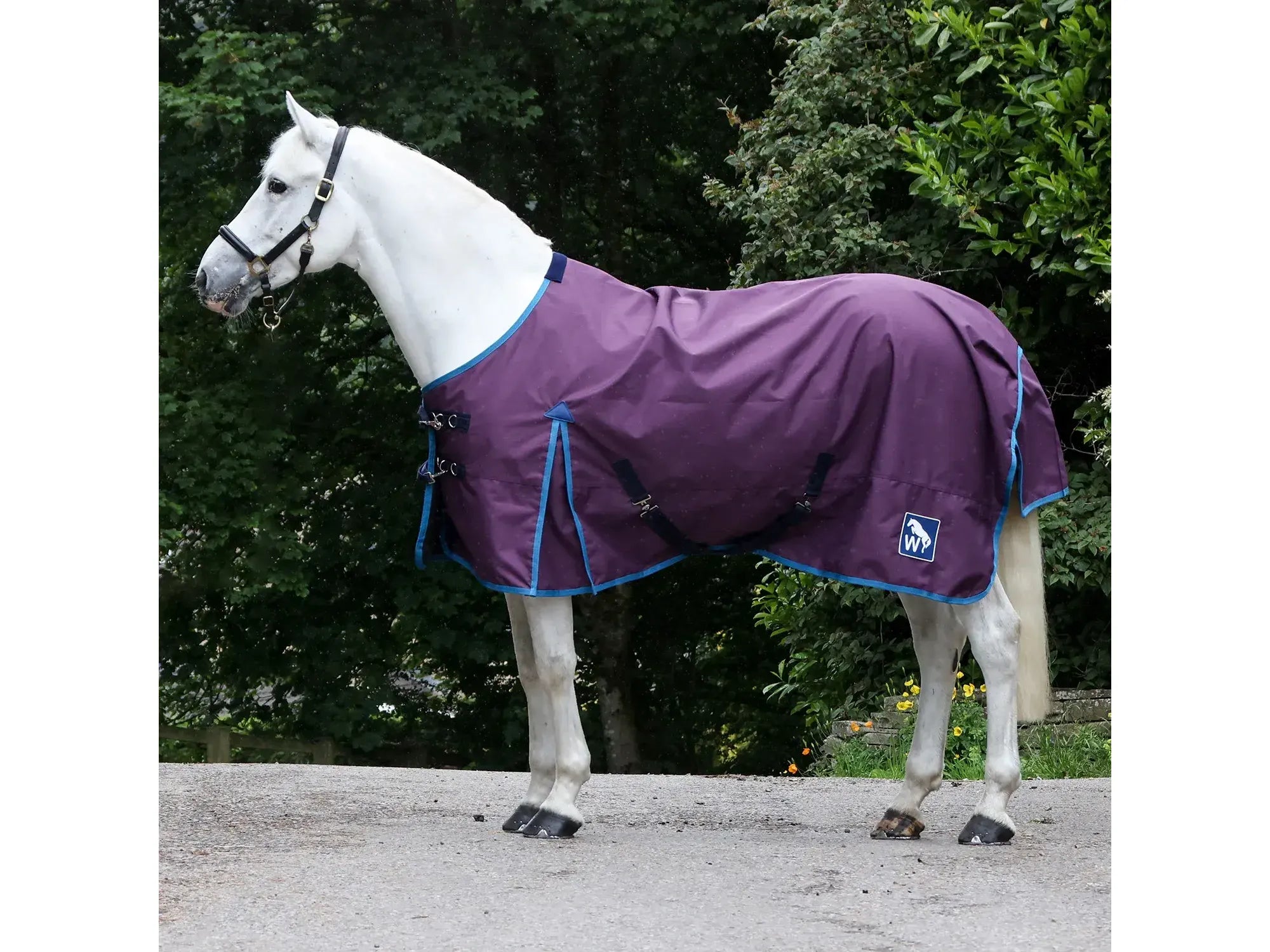Whitaker W-Horse 0g Turnout Rug - Limited Edition in Plum