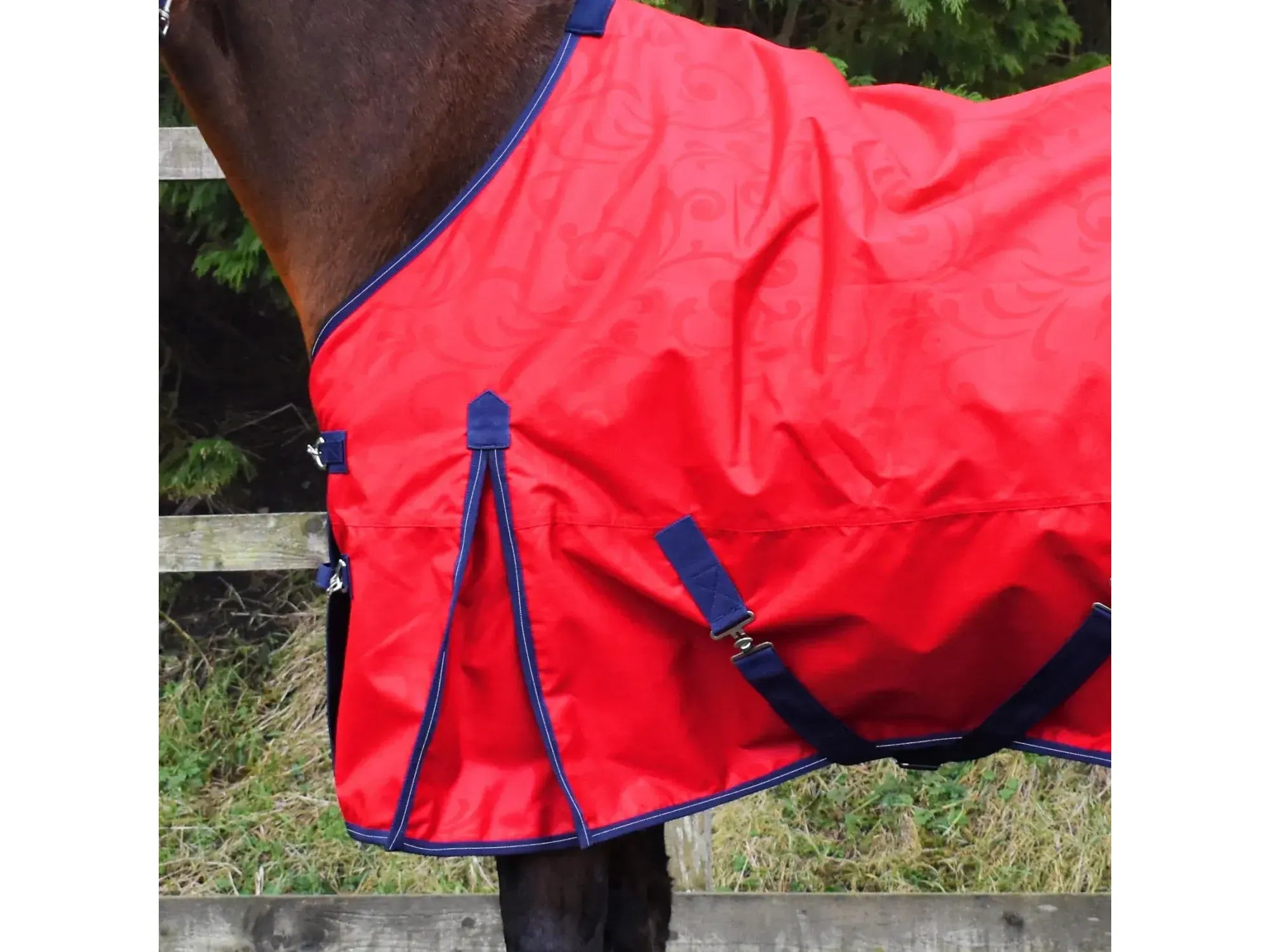Whitaker W-Horse 0g Turnout Rug - Limited Edition in Red